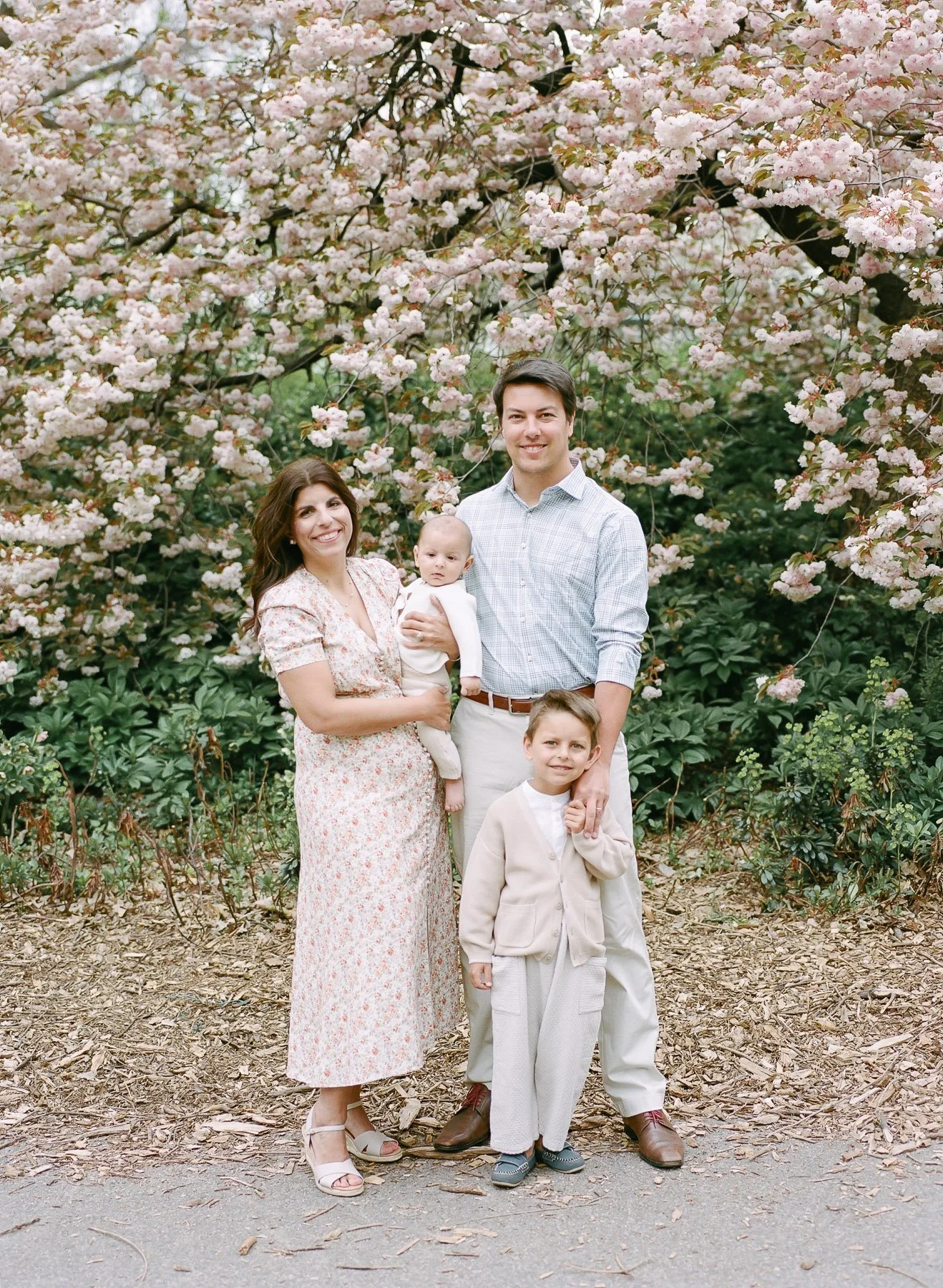 NYC Blossom family portraits by Michelle Lange Photography-3.jpg