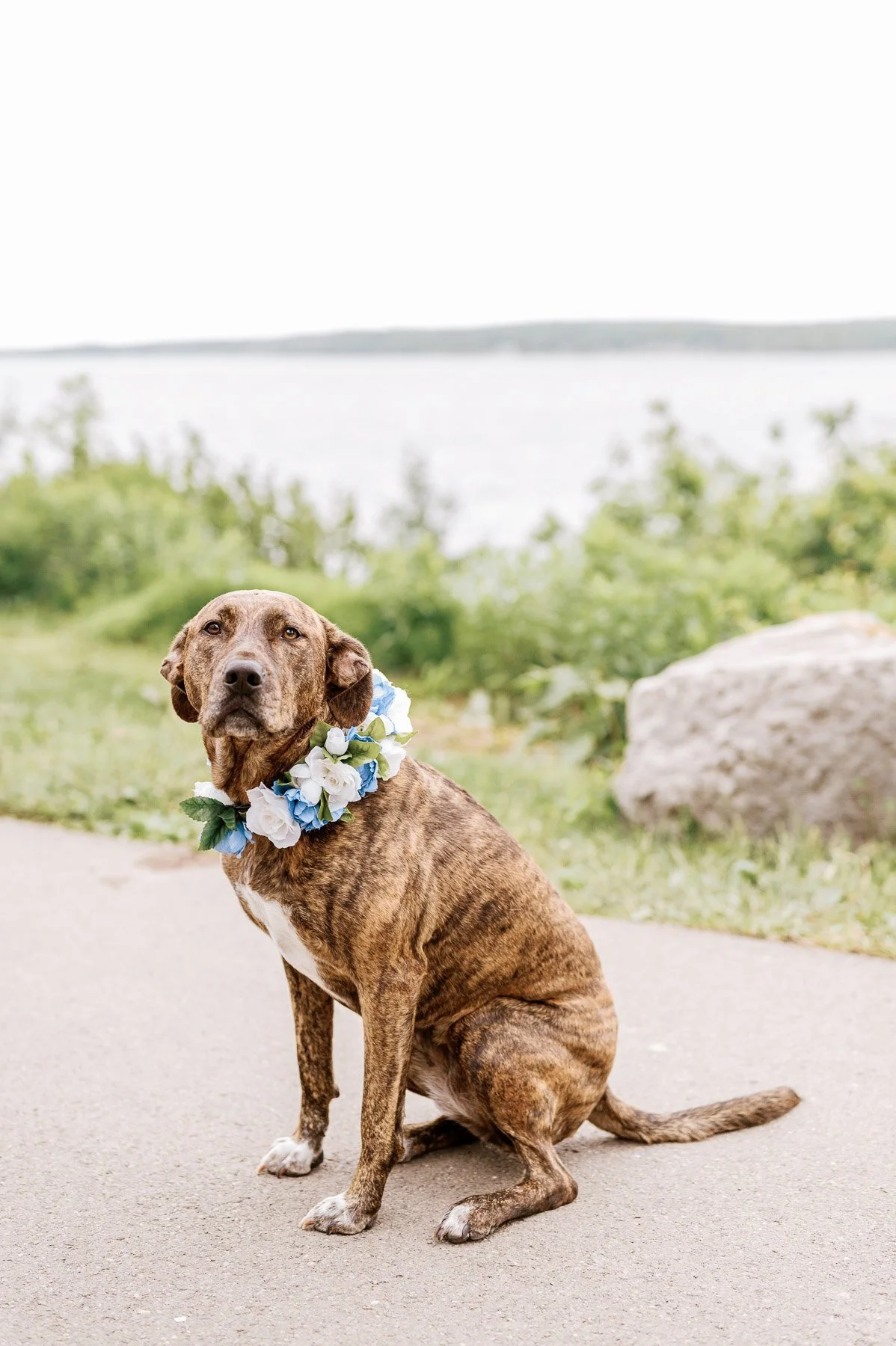 Lake Chautauqua Institution Wedding by Michelle Lange Photography-34.jpg