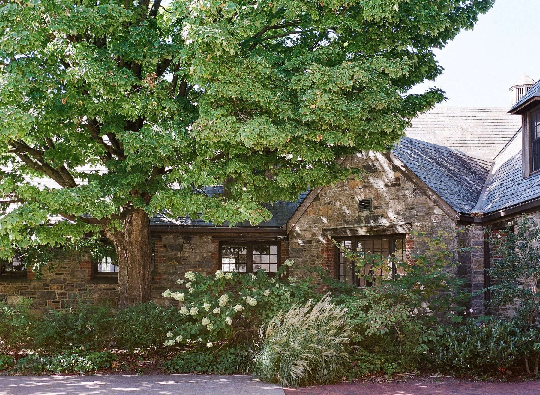Blue Hill at Stone Barns Wedding