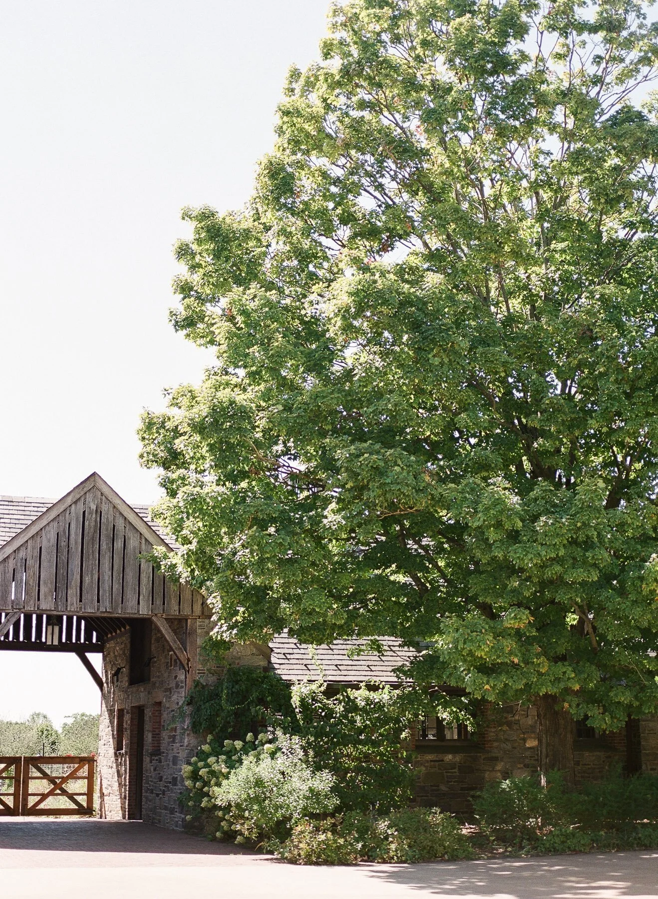 Helene Wedding by Michelle Lange Photography-22.jpg