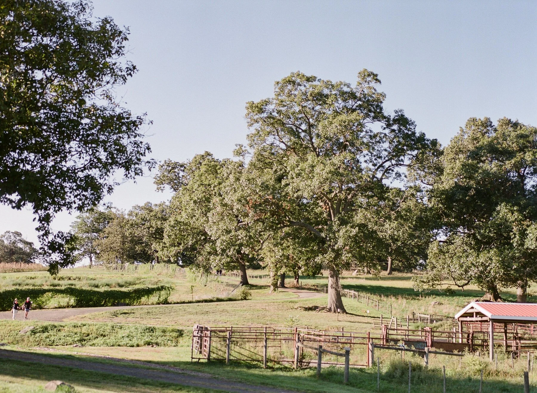 Helene Wedding by Michelle Lange Photography-40.jpg