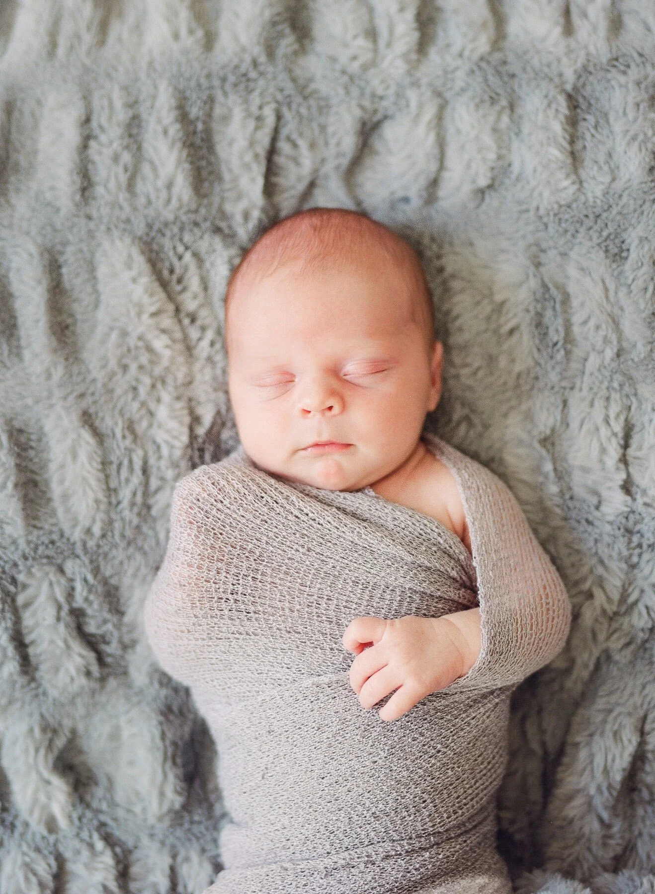 Saratoga Springs and Albany NY Newborn Photographer