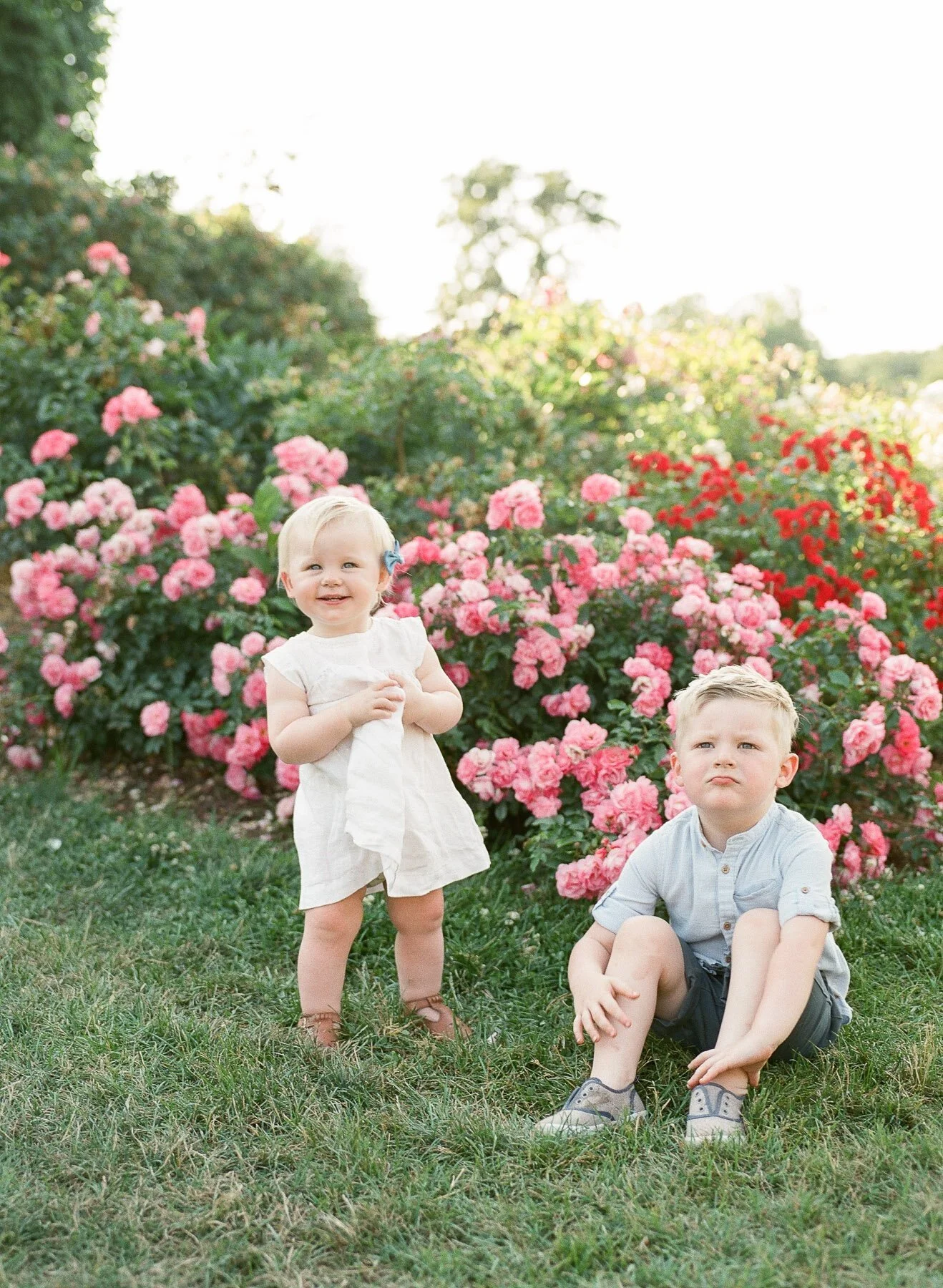 CT and NY family and newborn photographer