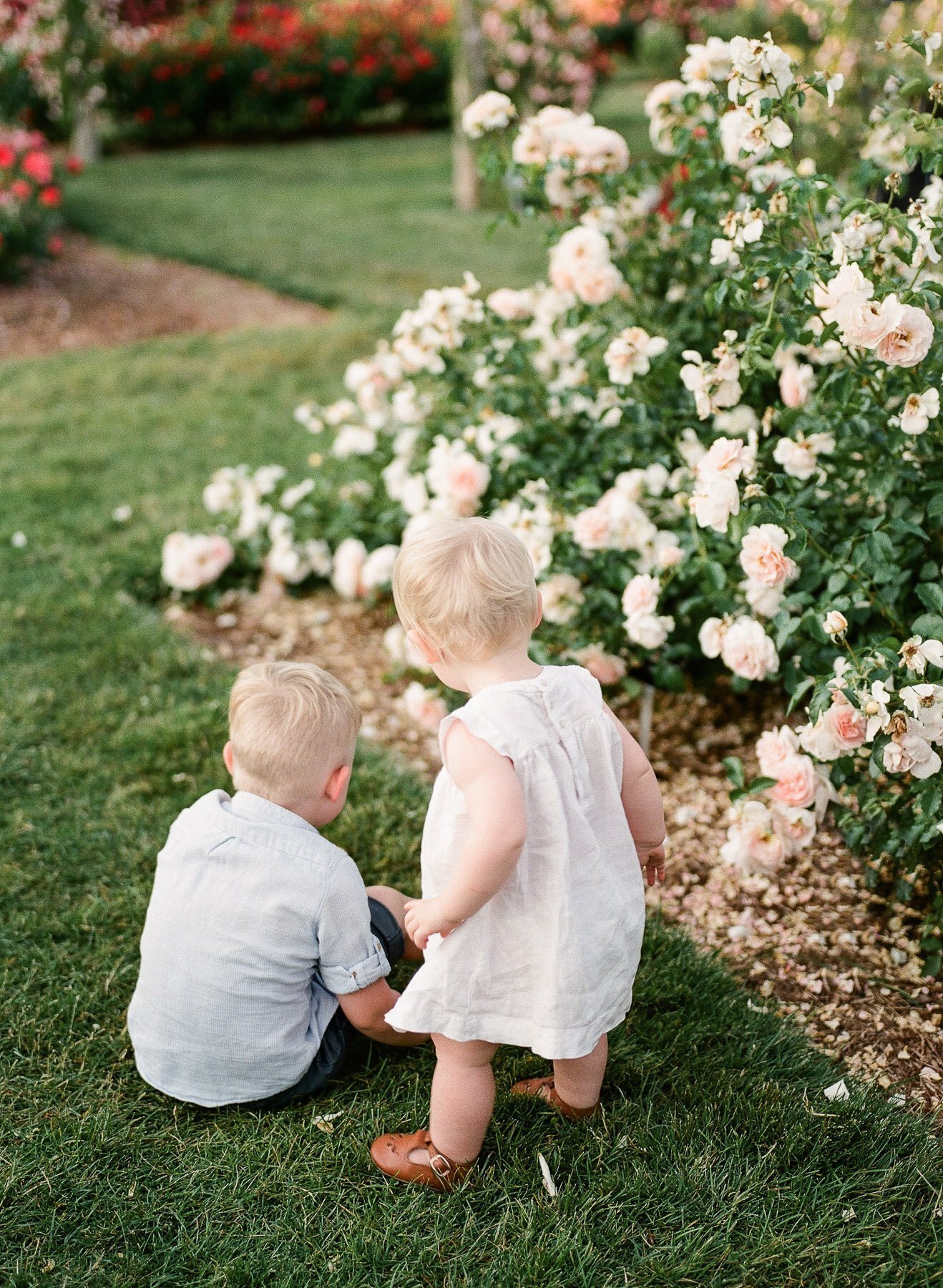 Landrum Family Photographer-12.jpg