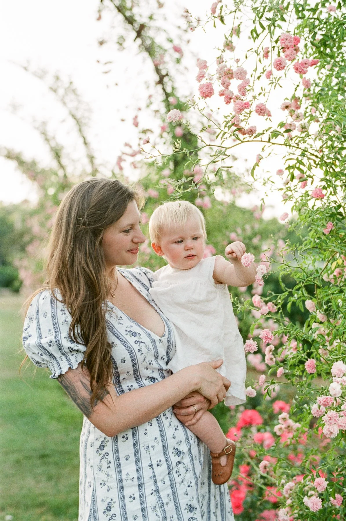 Landrum Family Photographer-19.jpg