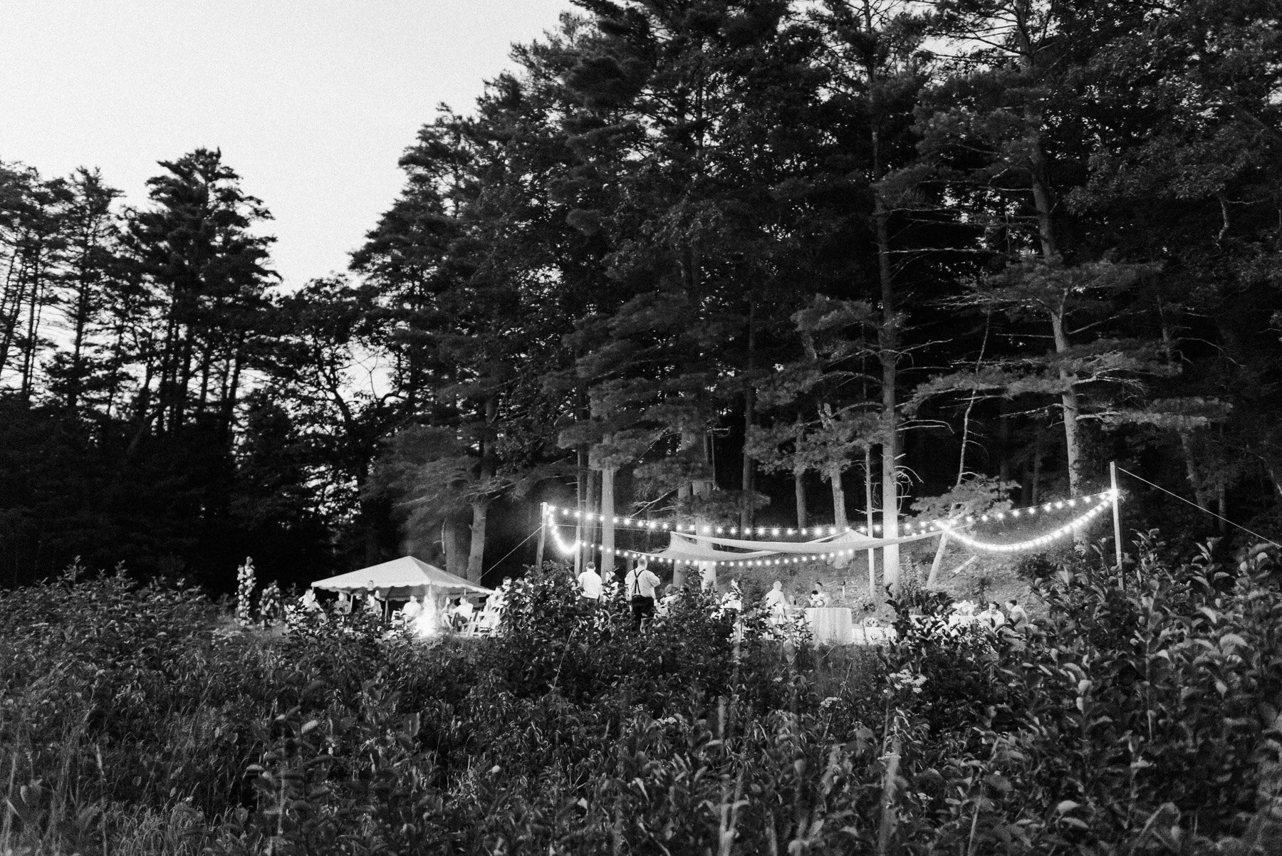 Upstate Intimate Wedding by Michelle Lange Photography-33.jpg