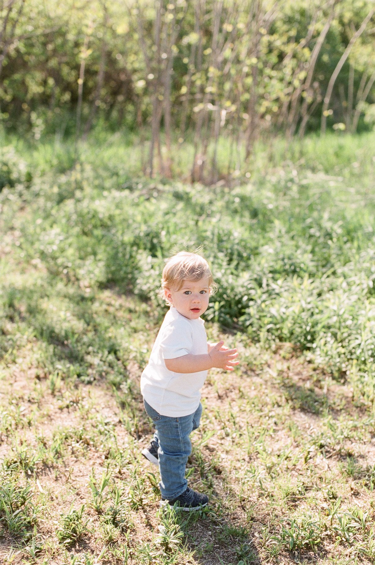 Albany NY Family and Newborn Photographer