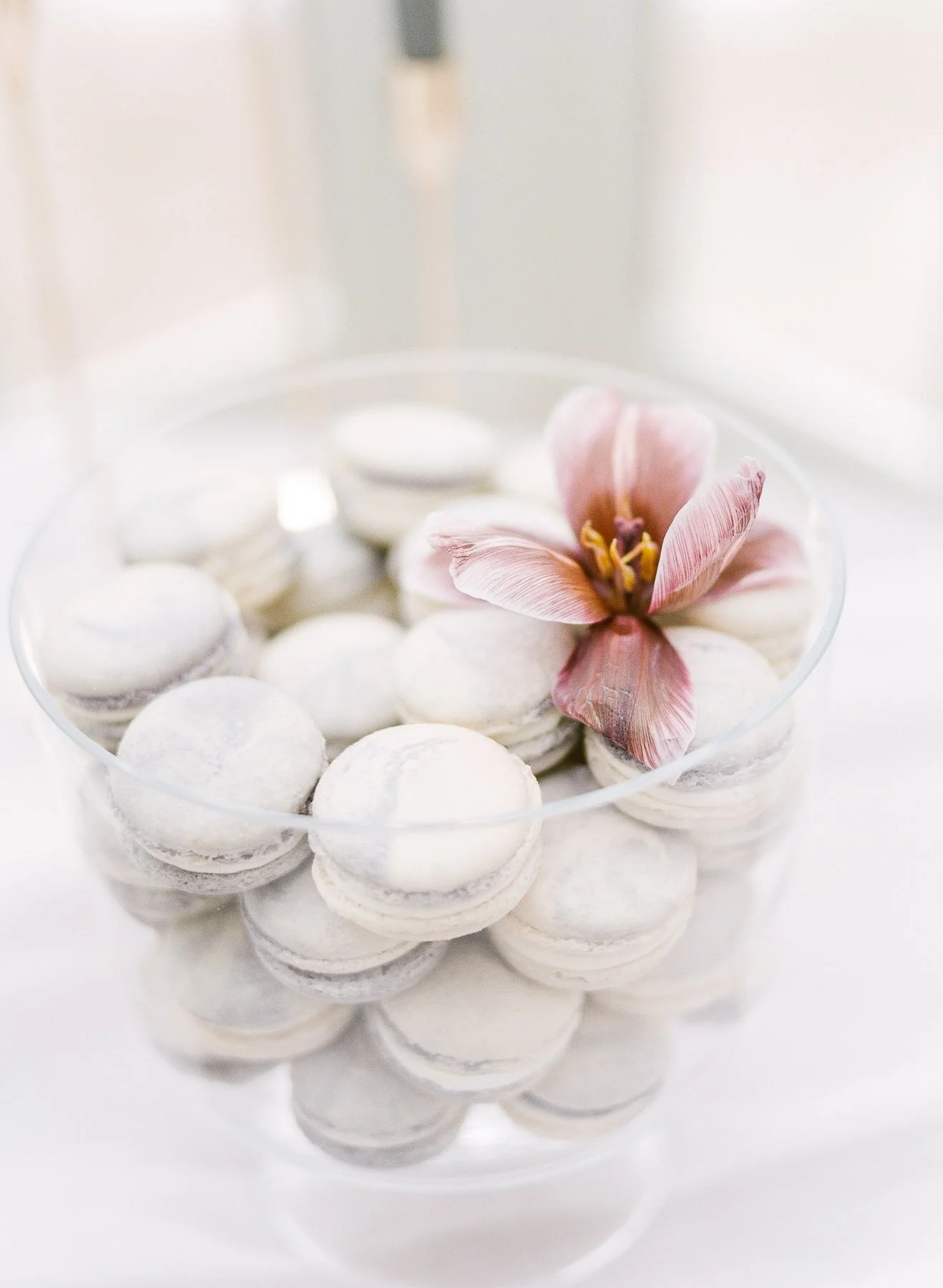 Blue Hen Saratoga Wedding Editorial by Michelle Lange Photography-44.jpg