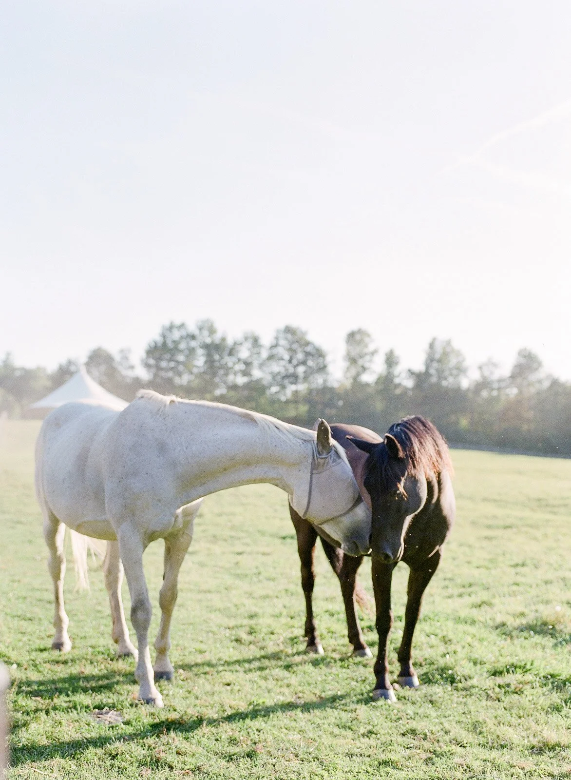 June Farms Wedding by Michelle Lange Photography-26.jpg