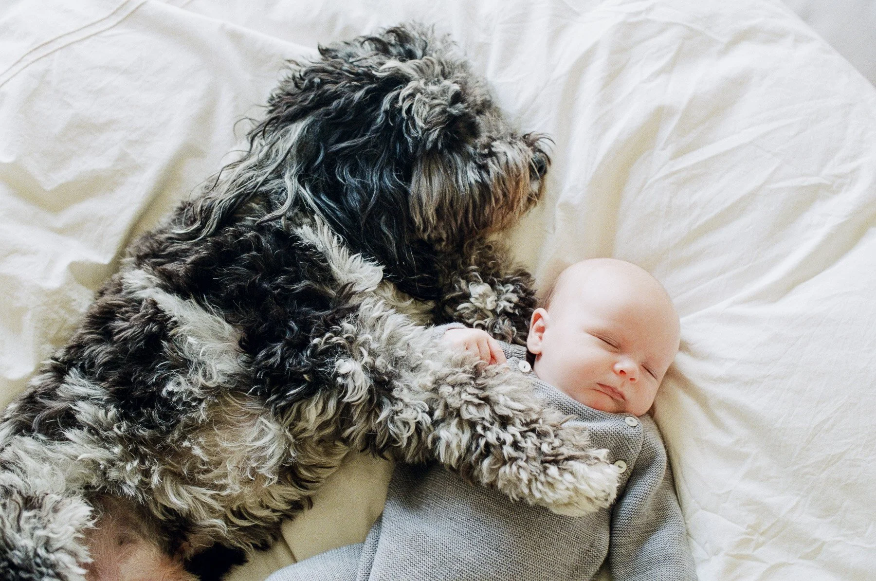 Henderson Family by Michelle Lange Photography-14.jpg