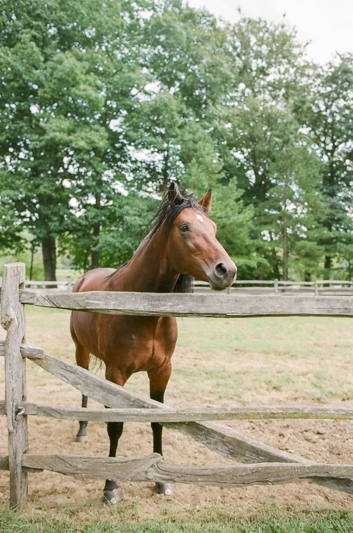 Private island wedding in upstate ny