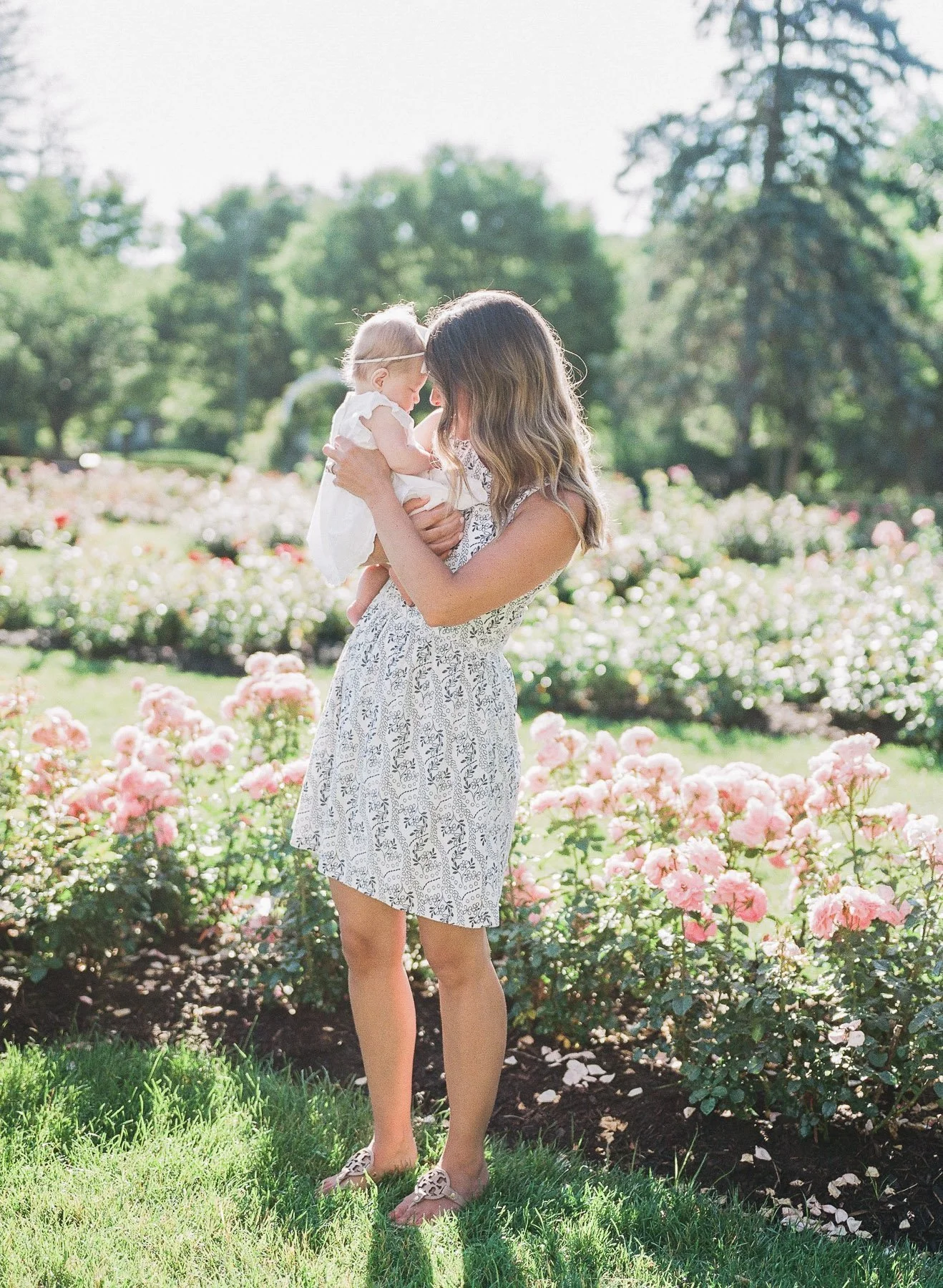 Schenectady Rose Garden NY Family Photographer