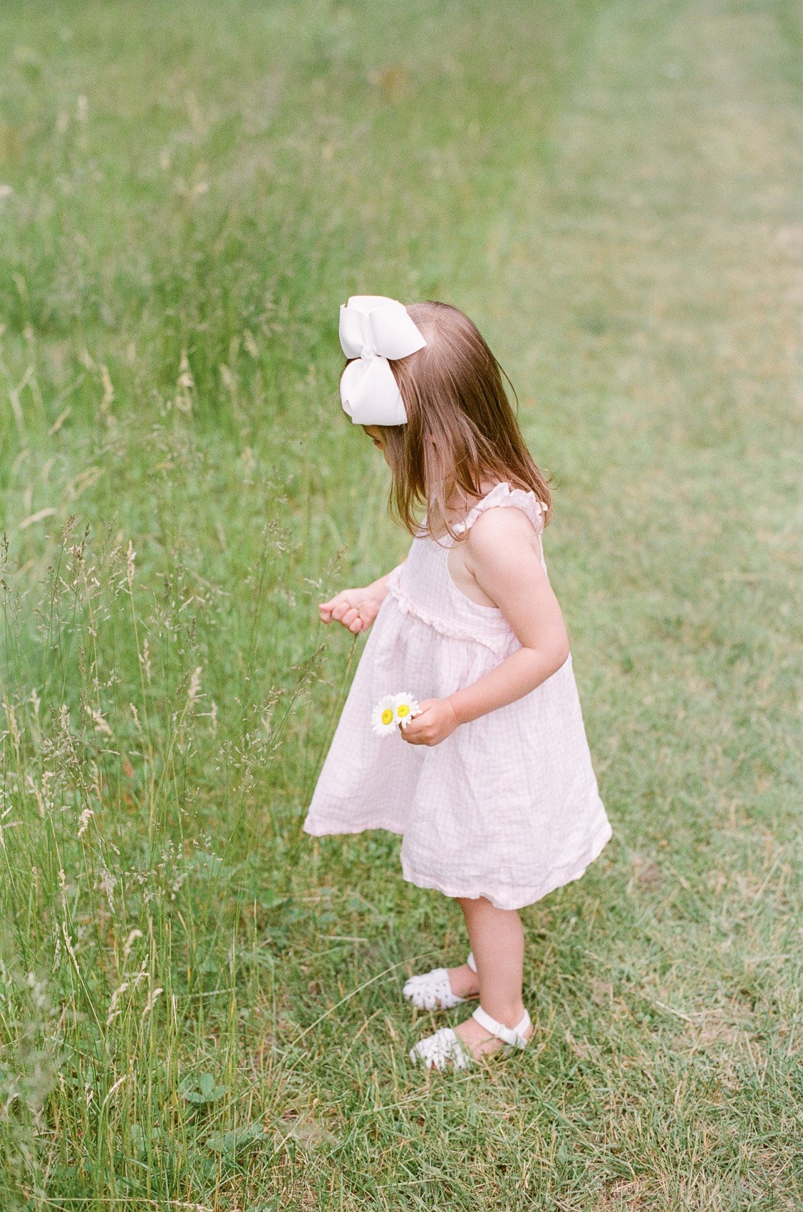 Alexander Portrait by Michelle Lange Photography-7.jpg