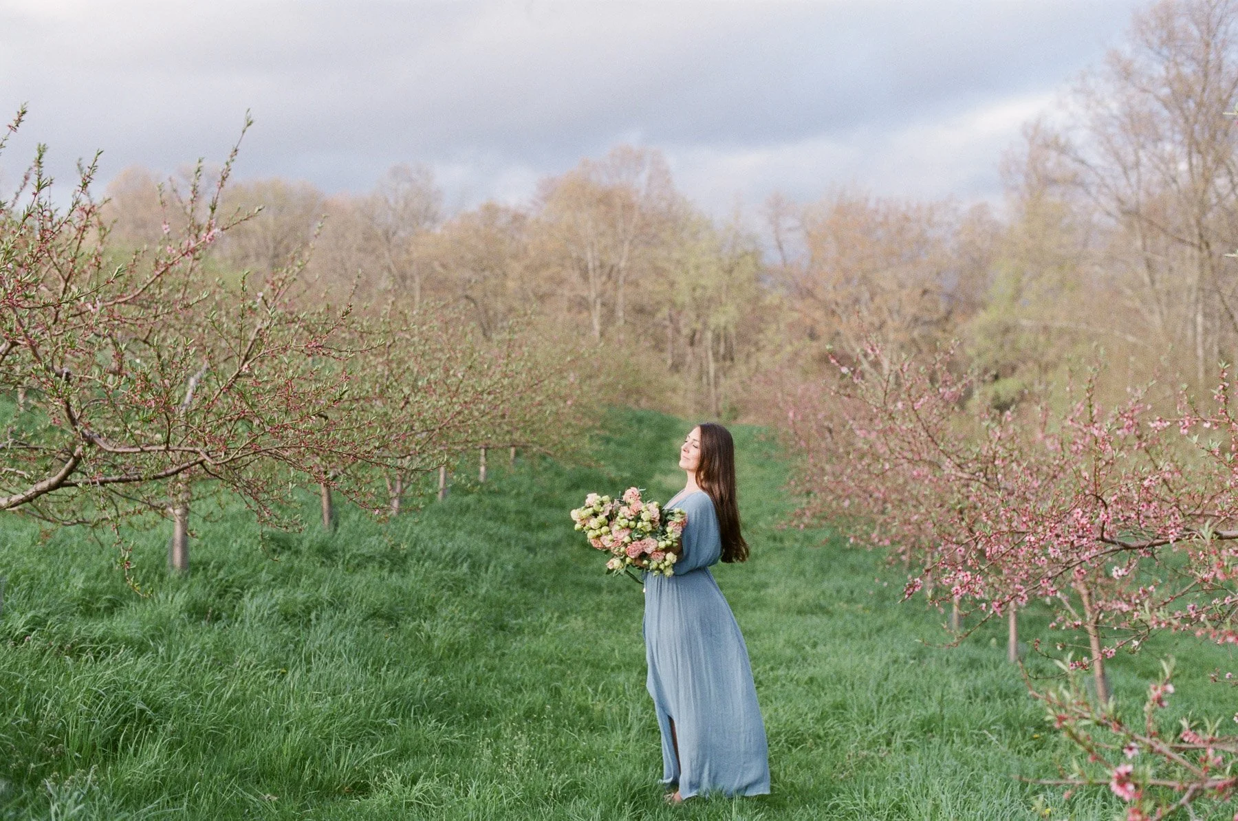 Peach Blossom Spring Photos