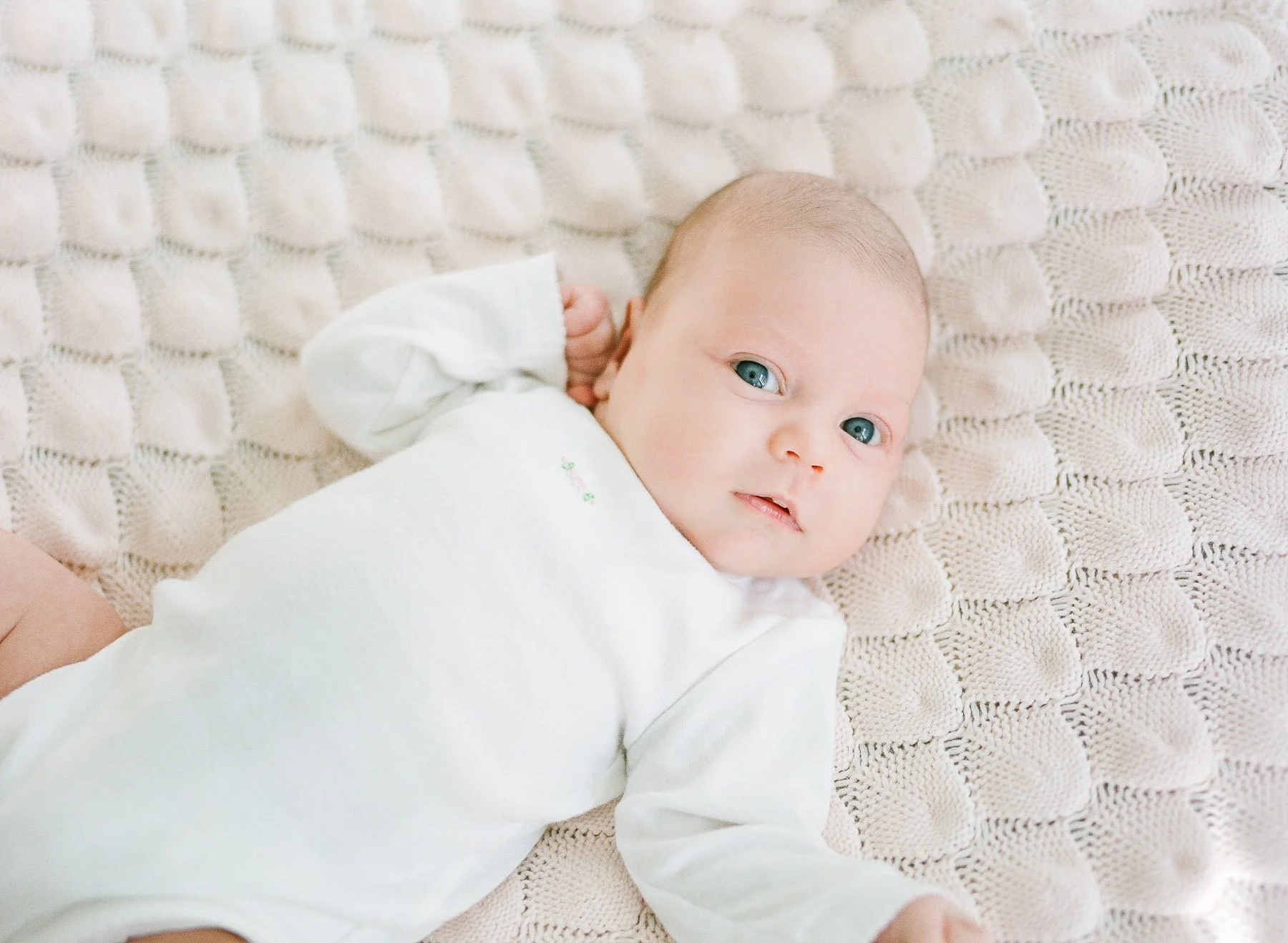 Newborn portrait nyc