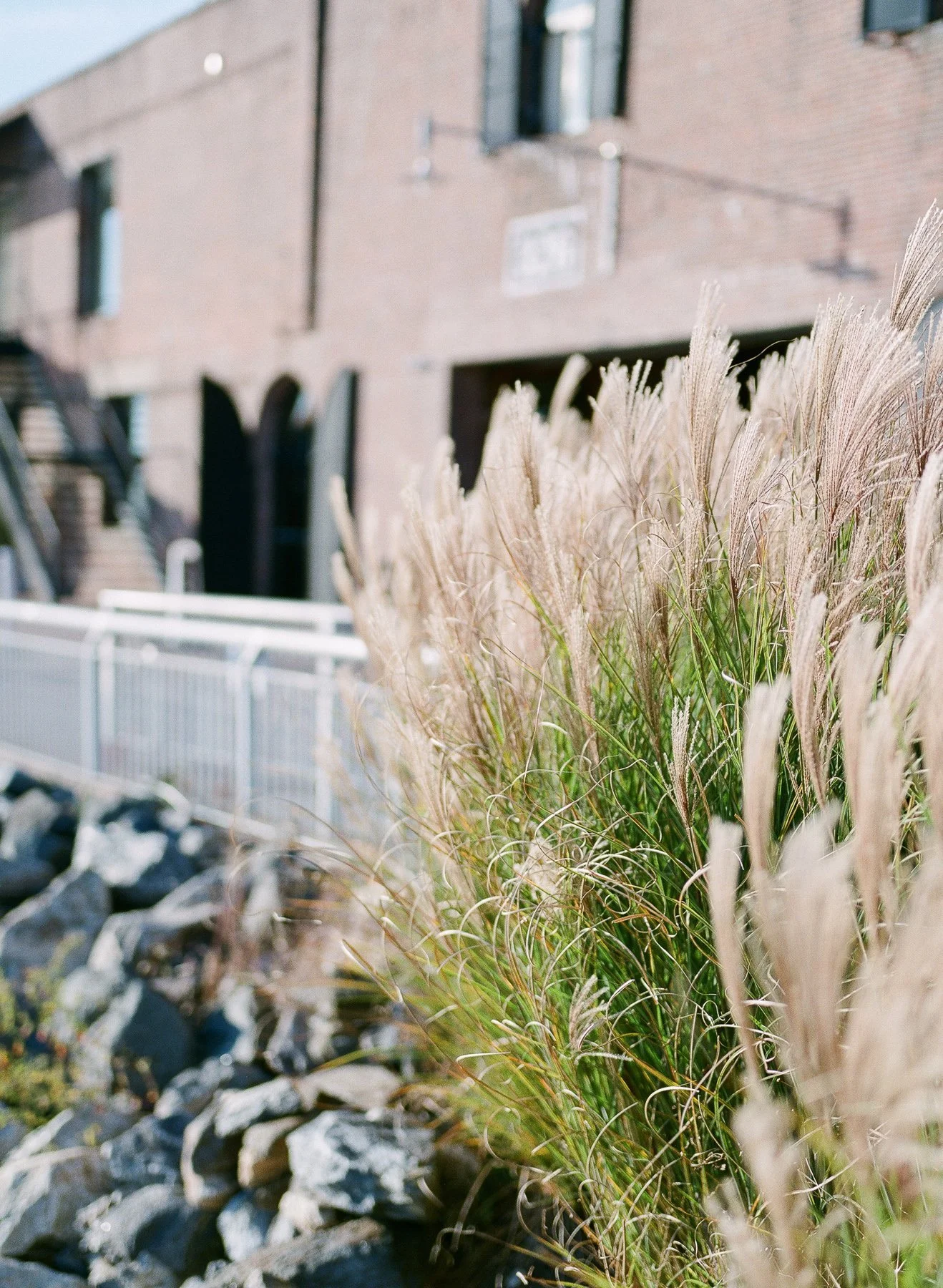 Liberty Warehouse Brooklyn Wedding-50.jpg