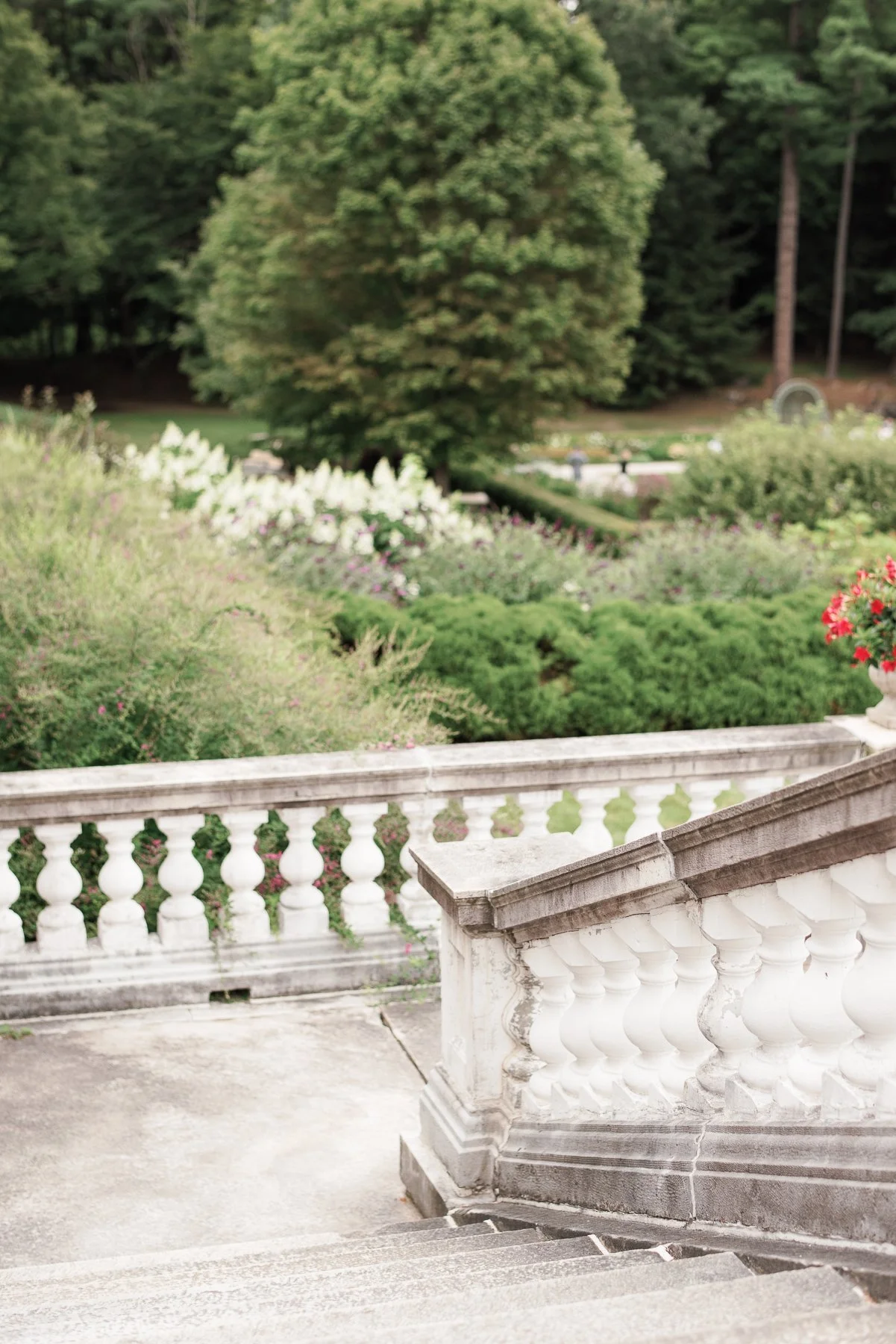 The Mount Lenox MA Engagement and Wedding Photographer