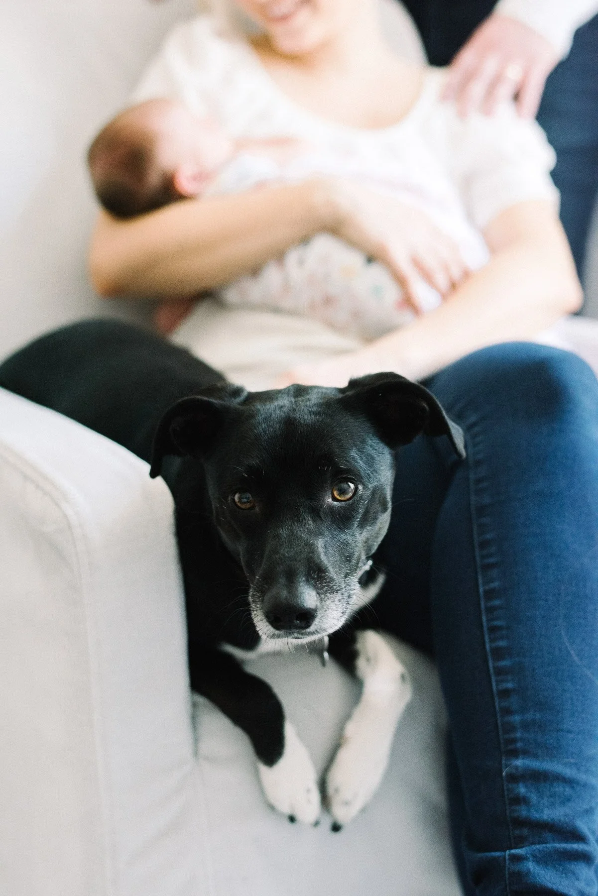 NYC Newborn Photographer