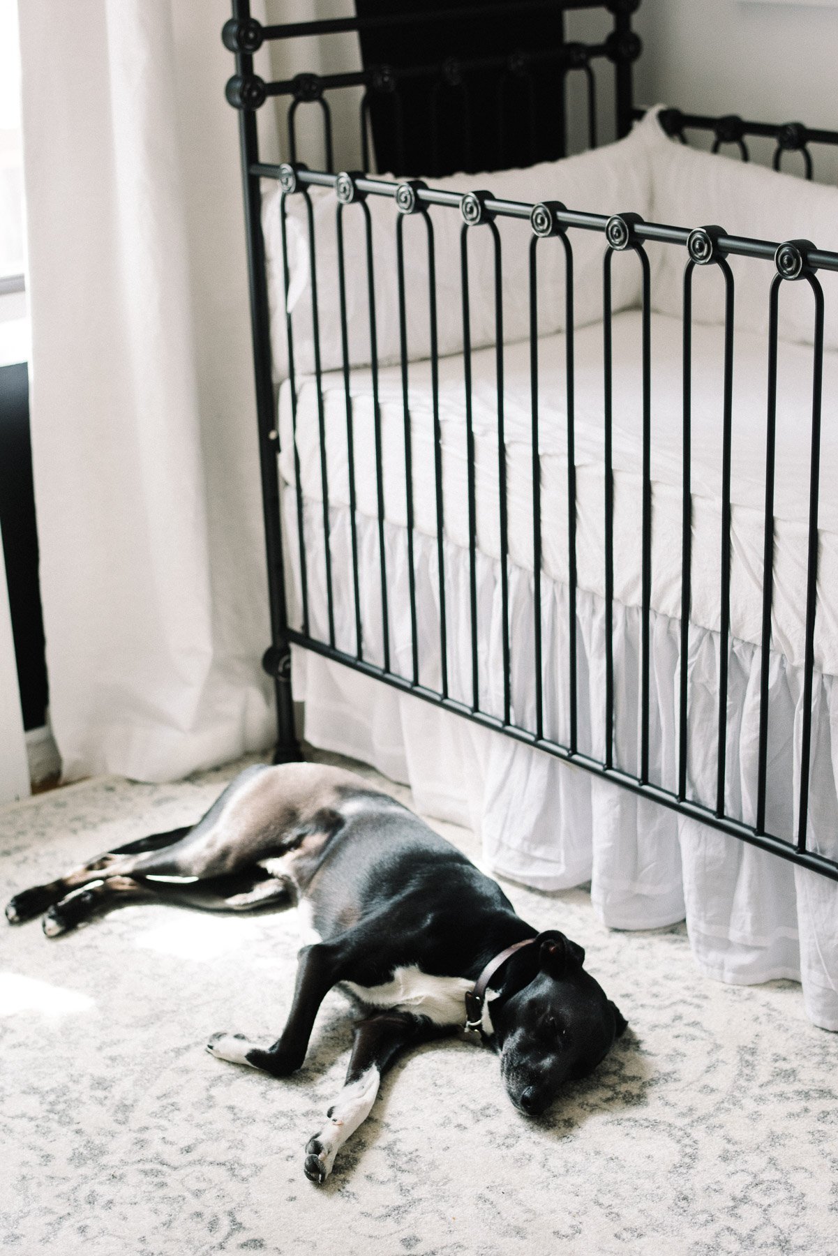 NYC Newborn Photographer