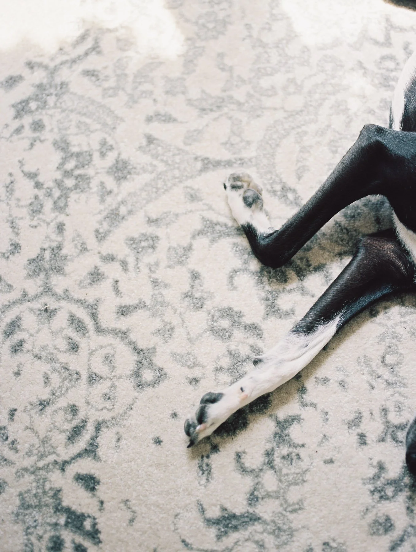 NYC Newborn Photographer