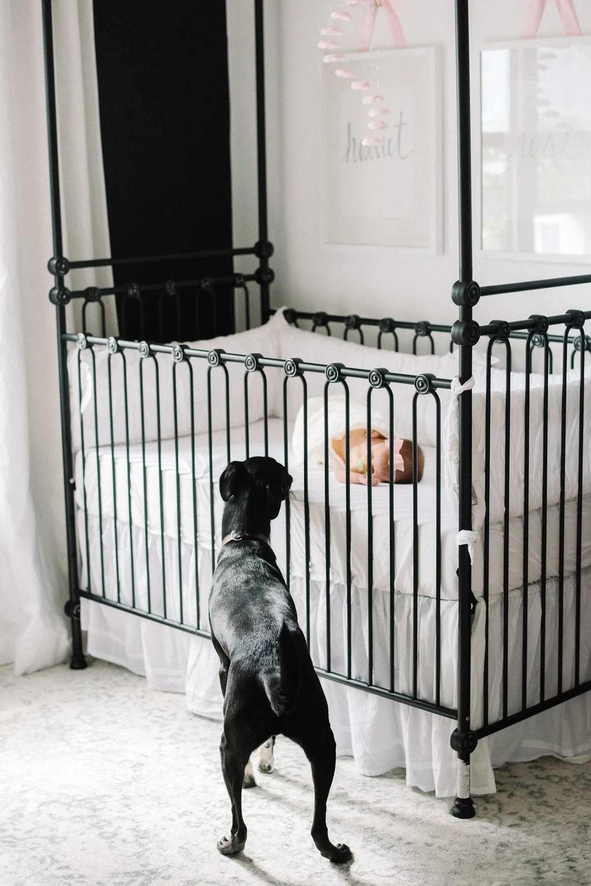 NYC Newborn Photographer