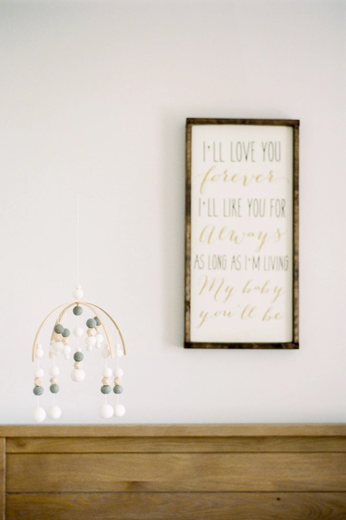 Saratoga Springs NY Newborn Film Photographer