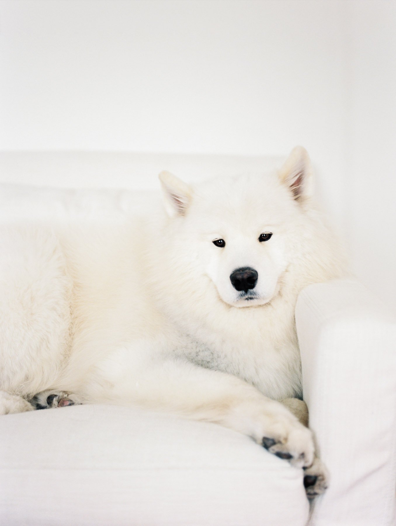 NY Newborn Film Photographer