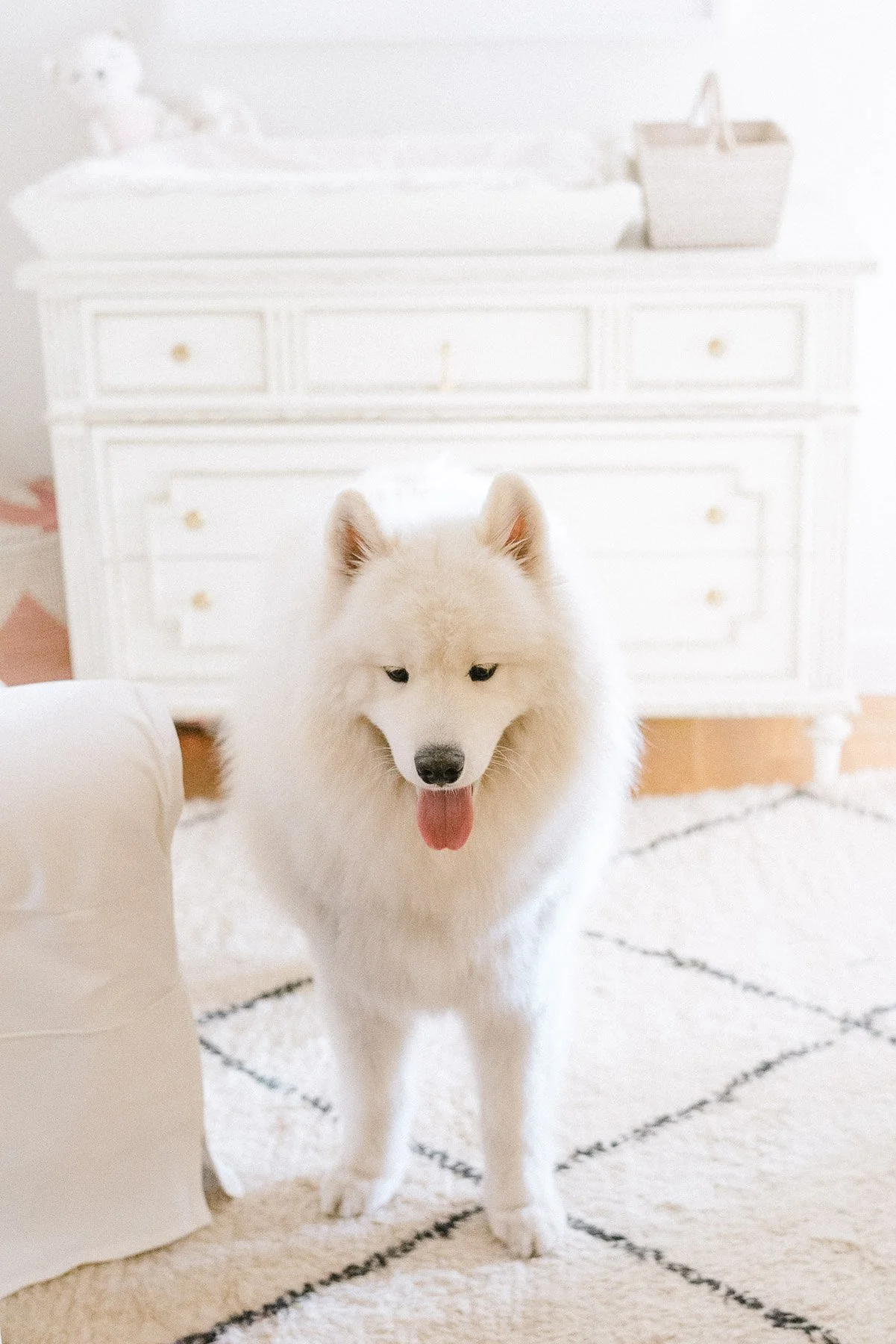 NY Newborn Photographer