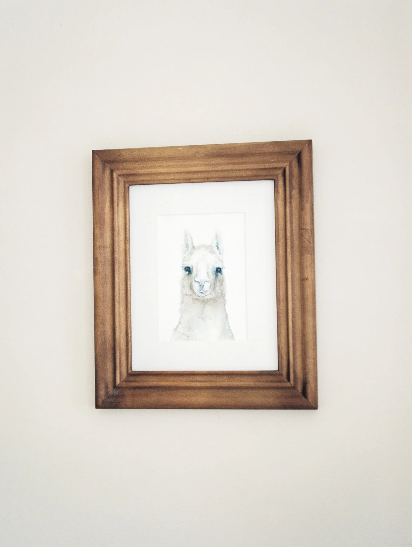Lama Framed Print in Nursery 
