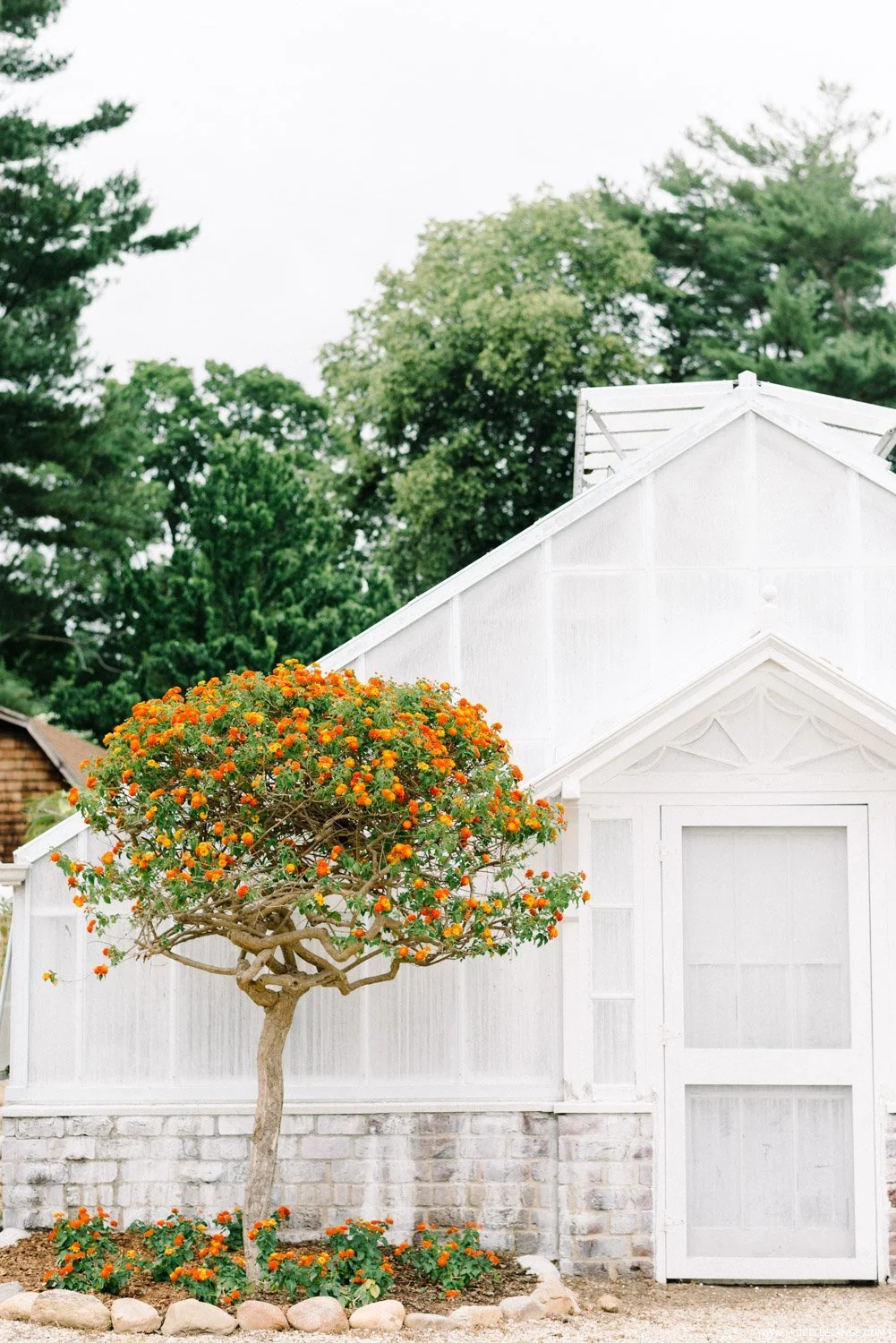 NY Engagement Fine Art Photographer 