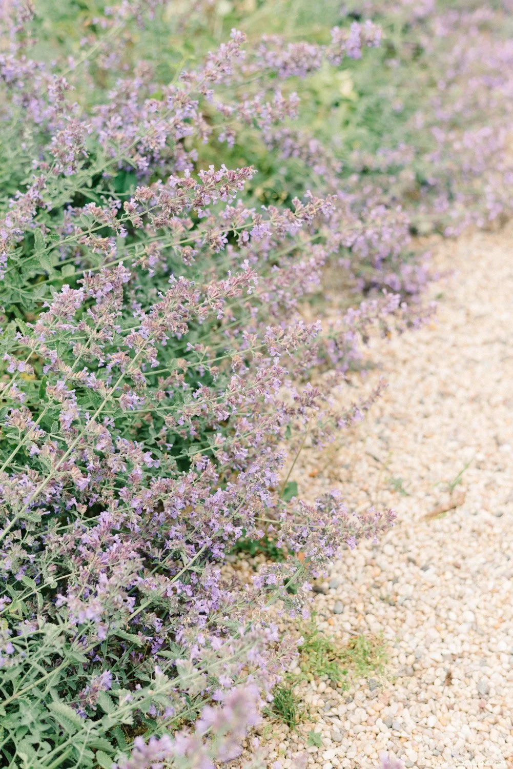 NY Engagement Fine Art Photographer 