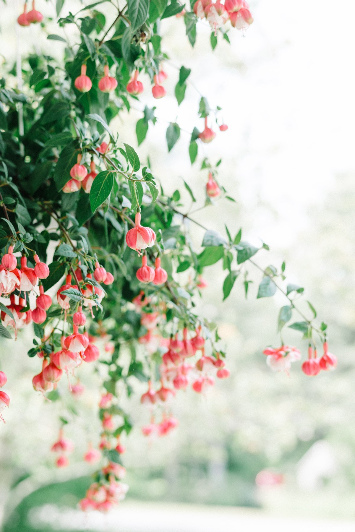 Saratoga National NY Wedding Photographer-5.jpg