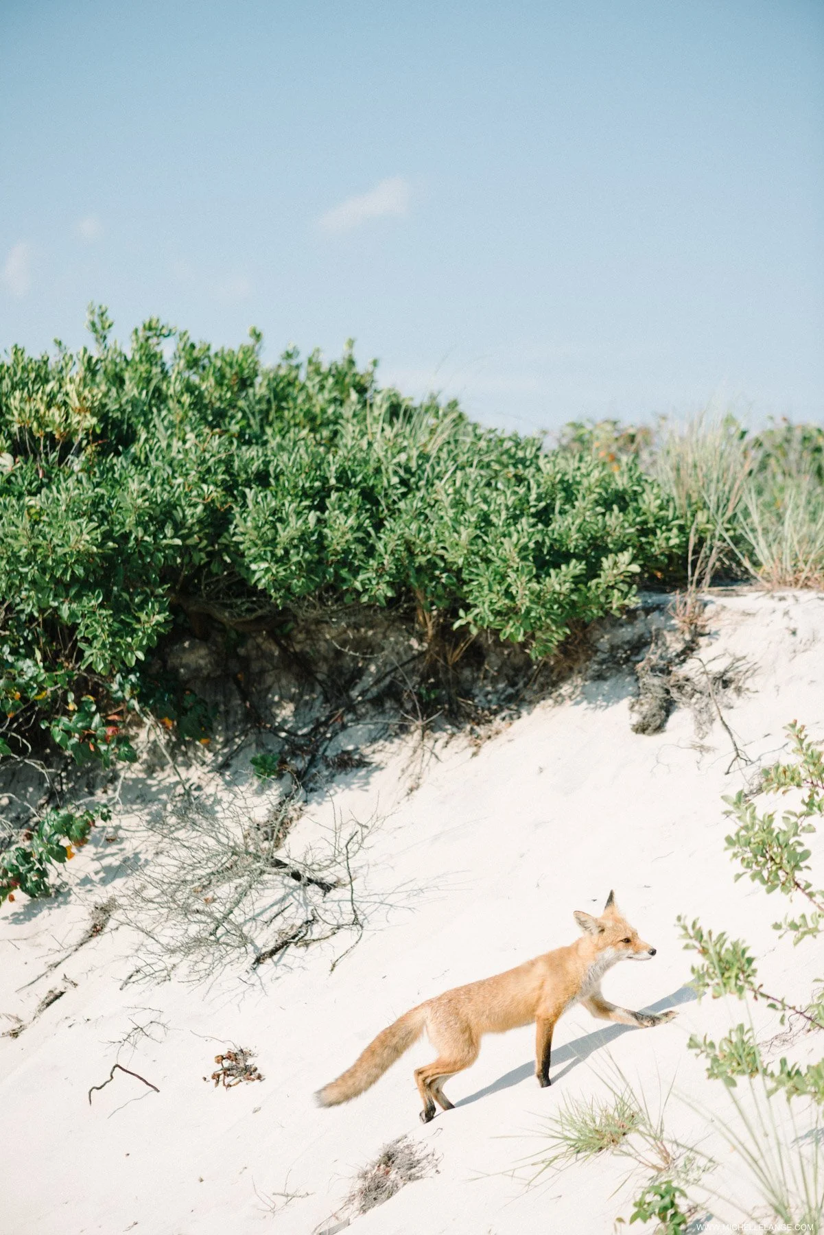 NJ Beach Wedding and Engagement Photographer