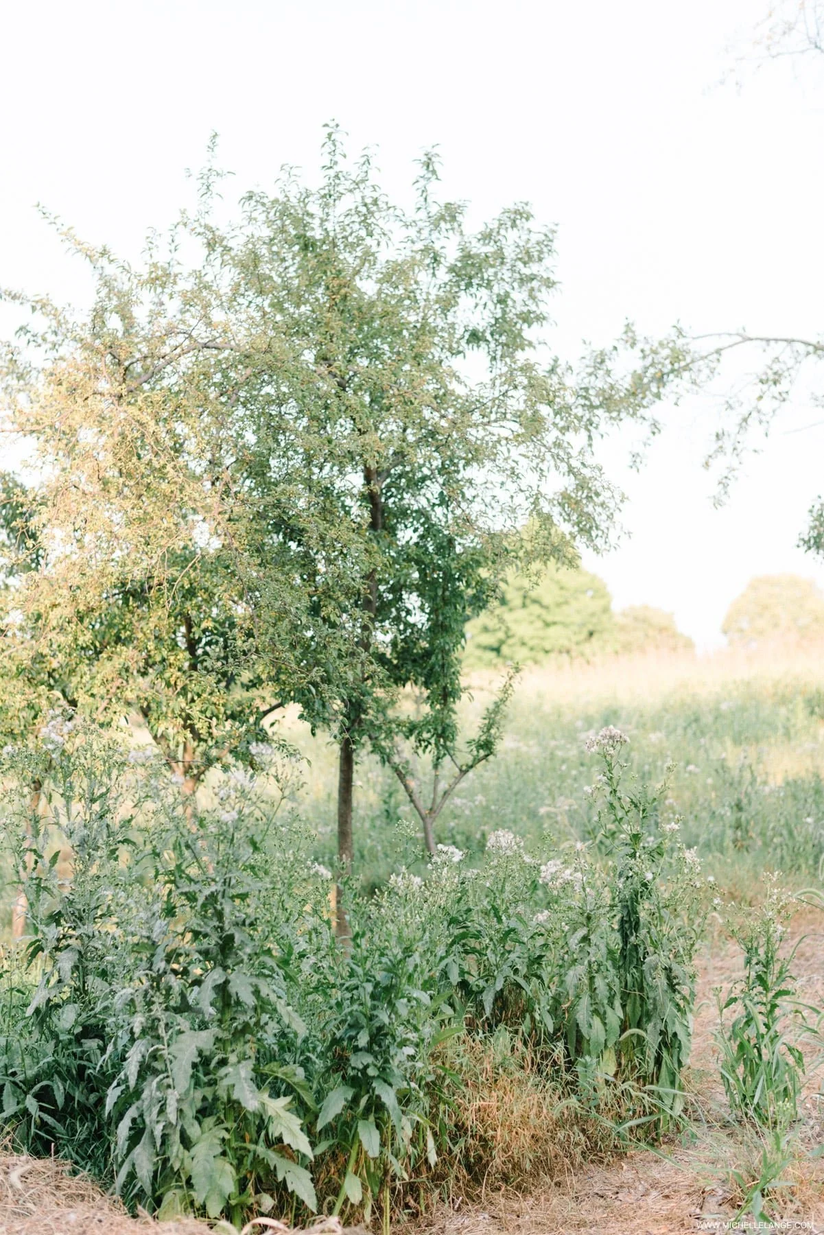 NJ Engagement Photographer-12.jpg