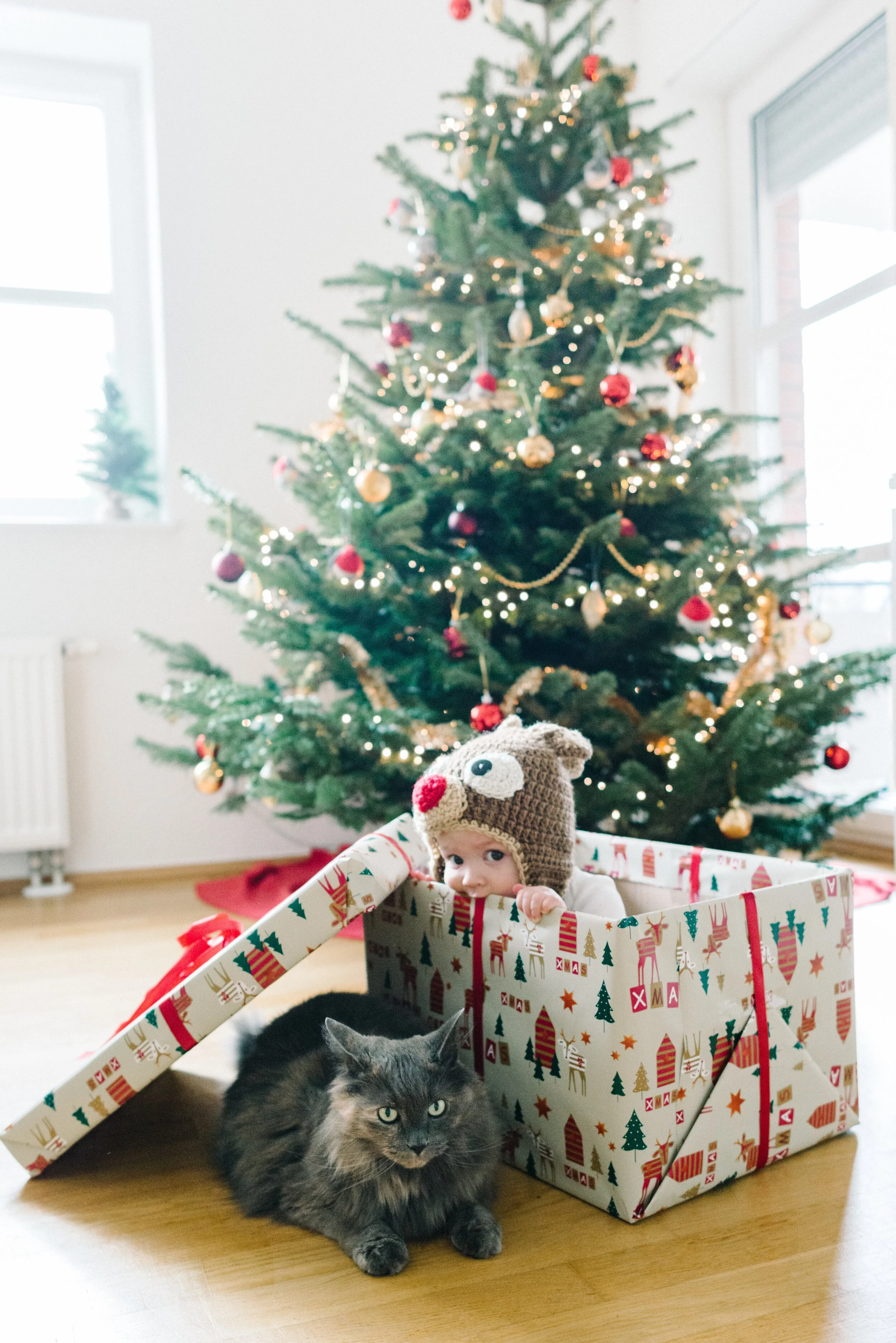 Happy Holidays | NJ Photographer