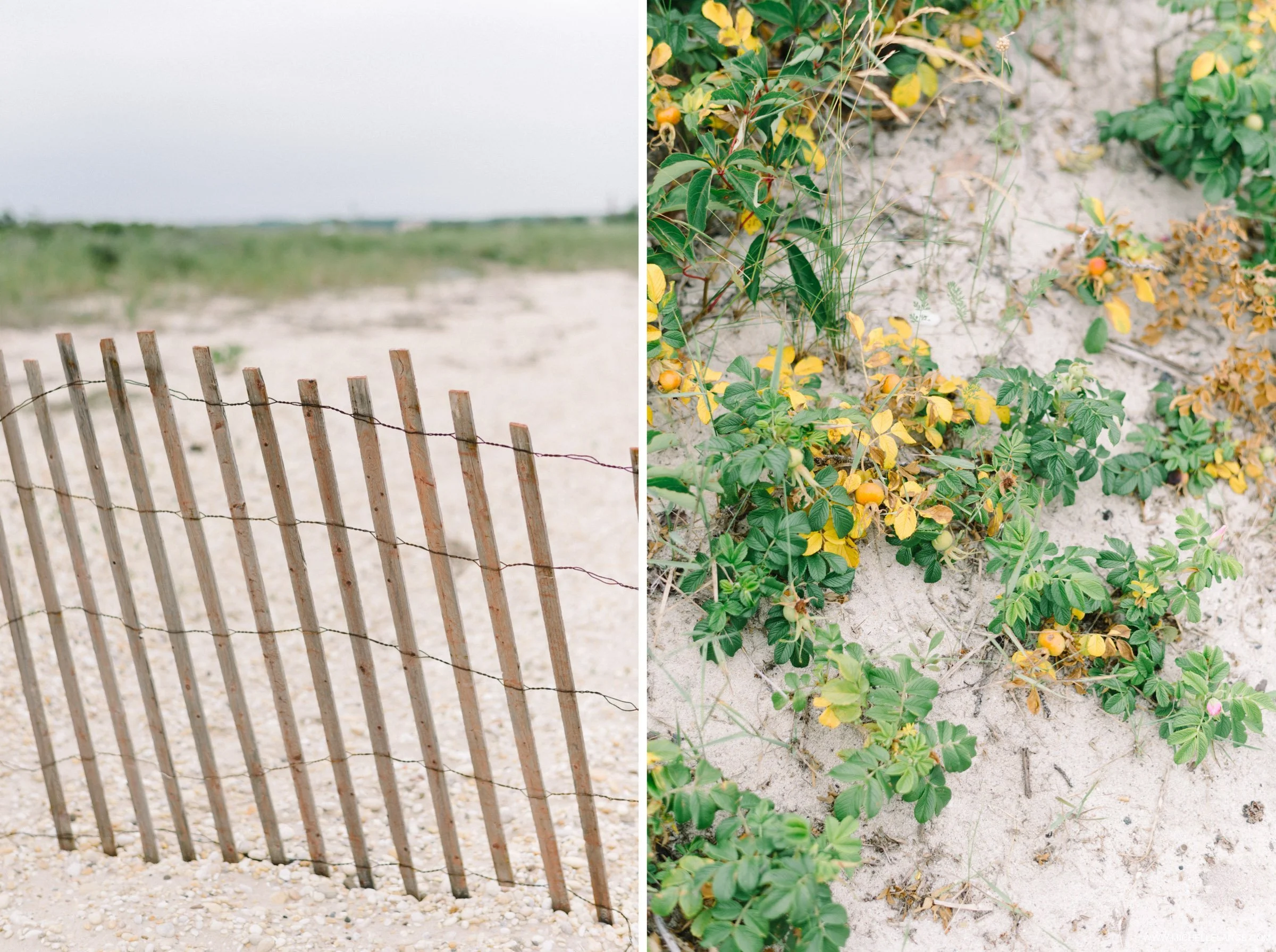 Hamptons NY Engagement Photographer 7.jpg