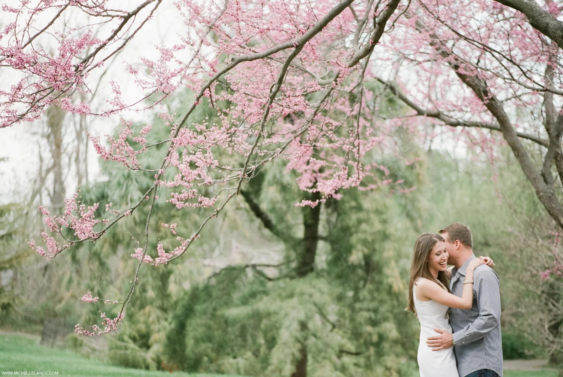 Deep Cut Gardens New Jersey Engagement Photographer