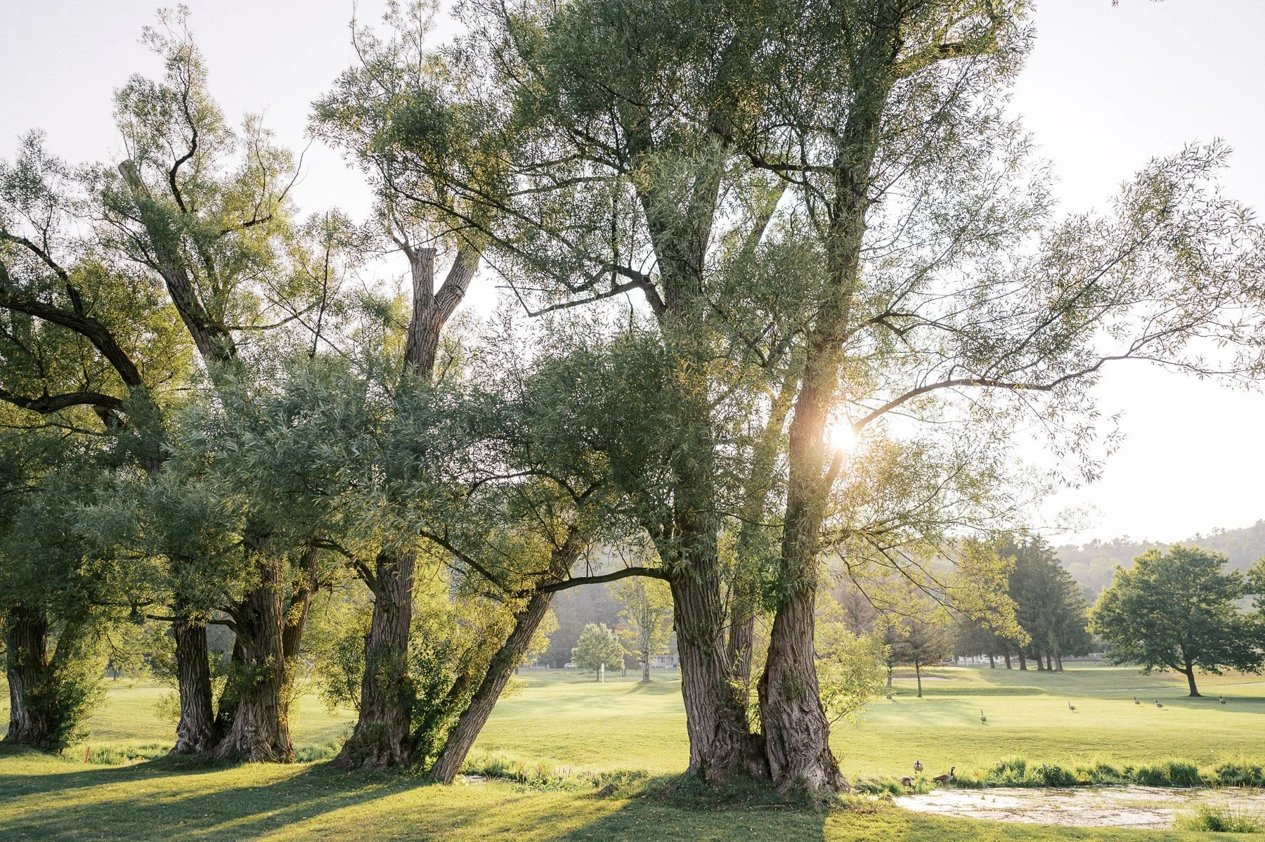Otesaga Wedding by Michelle Lange Photography-204.jpg