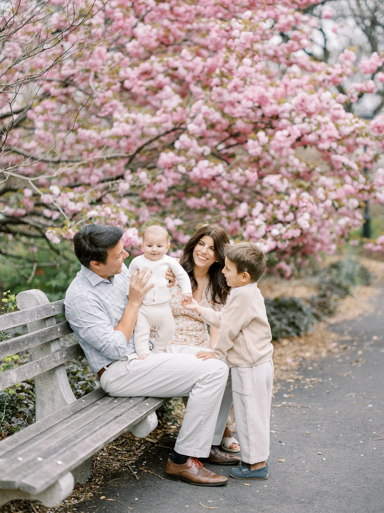 A family of four sitting on a park bench with pink flowering trees in the background, smiling and playing with their young children.