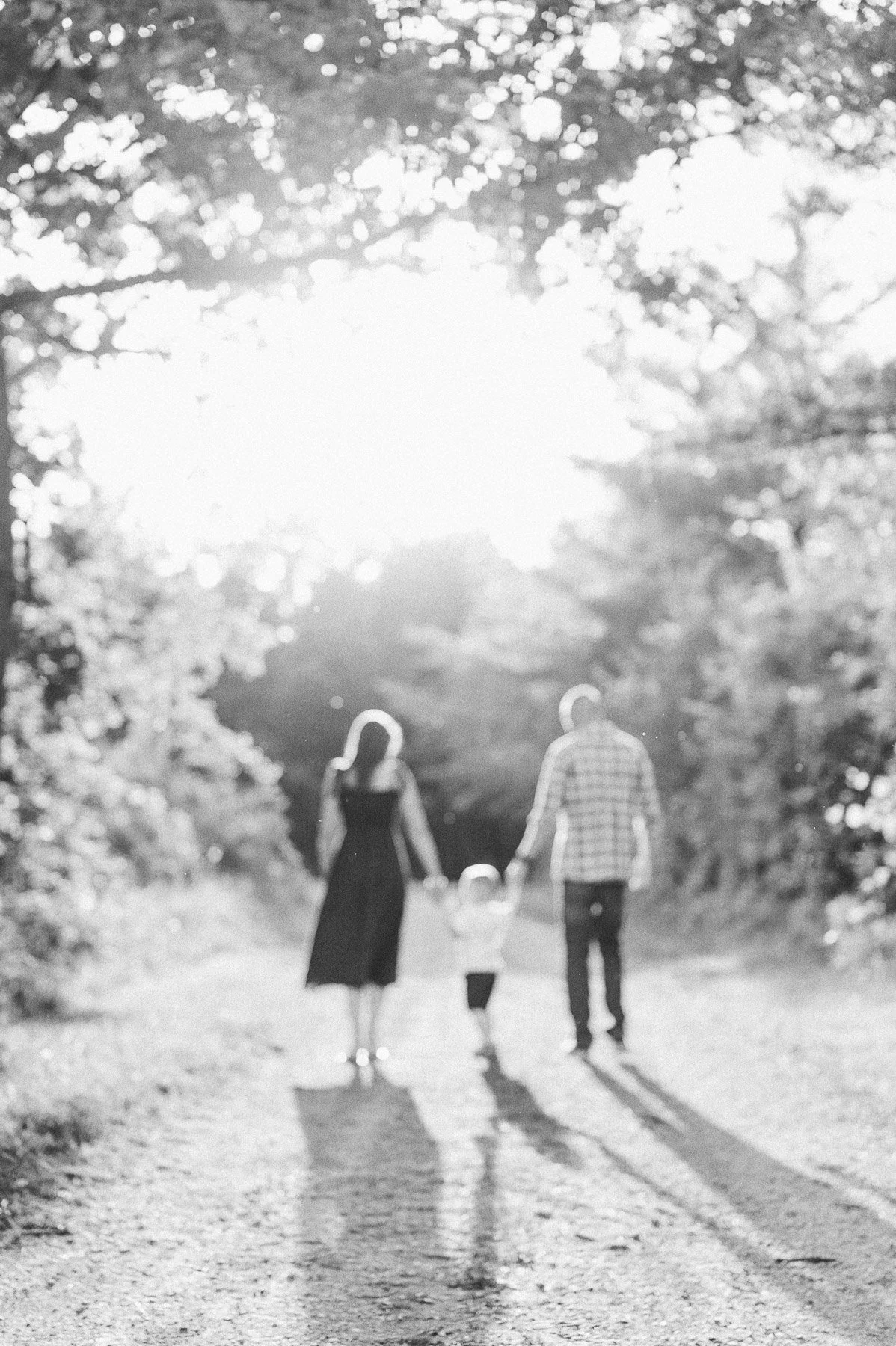 A black and white photo of a family holding hands while walking down a dirt path in a wooded area, backlit by sunlight.