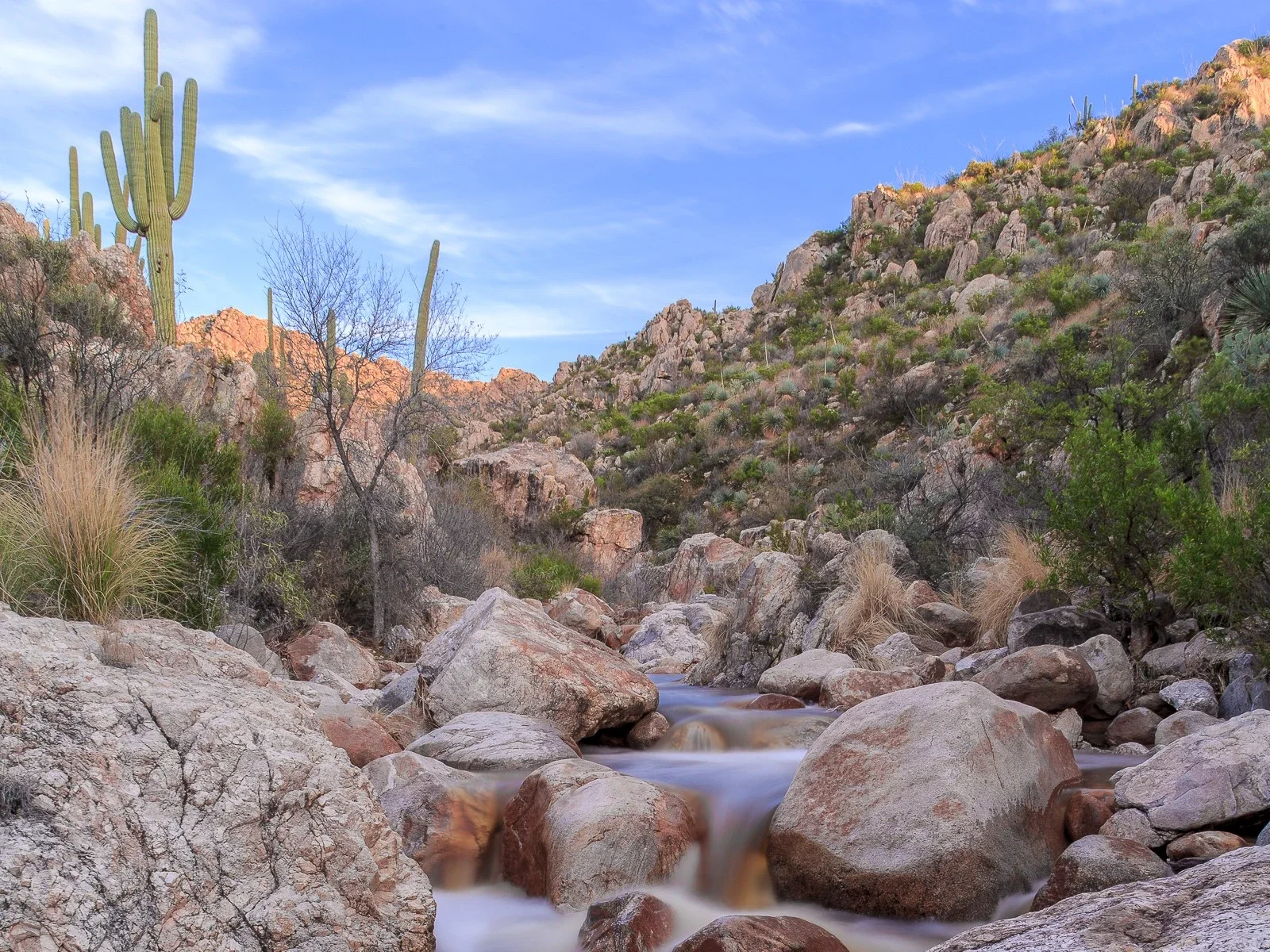 Desert landscape with cacti, rocky terrain, sparse vegetation, and a small flowing stream, under a blue sky with some clouds.