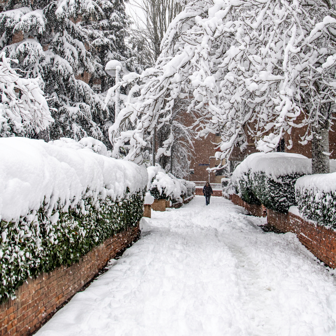 You Are Not Alone In the Storm