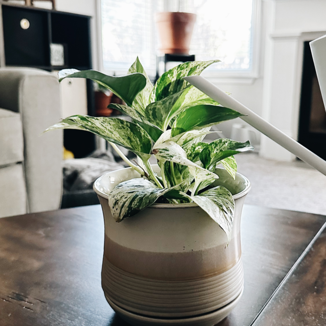 How To Maintain Peace Of Mind