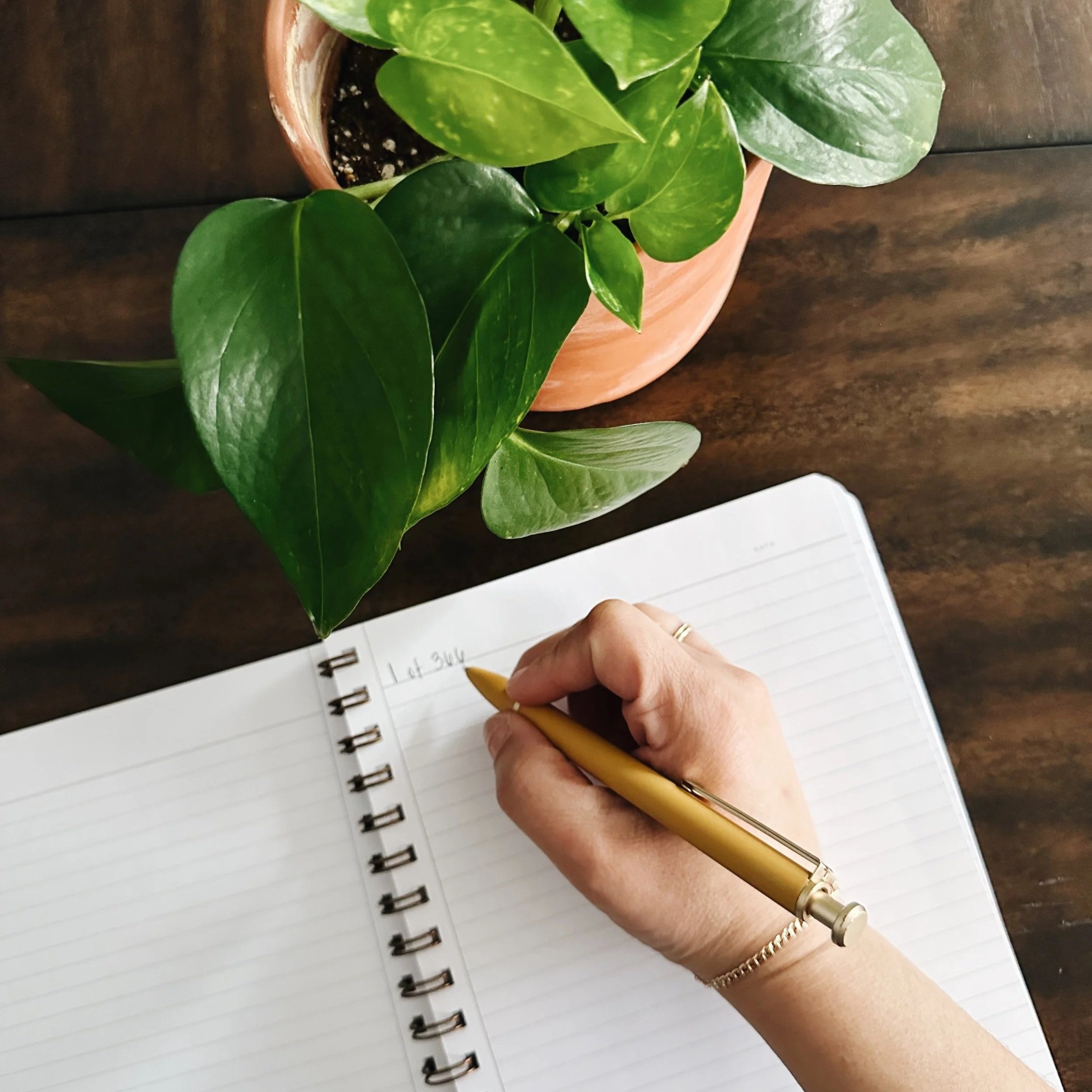 How To Create A Sustainable Wellness Routine (That You Enjoy)