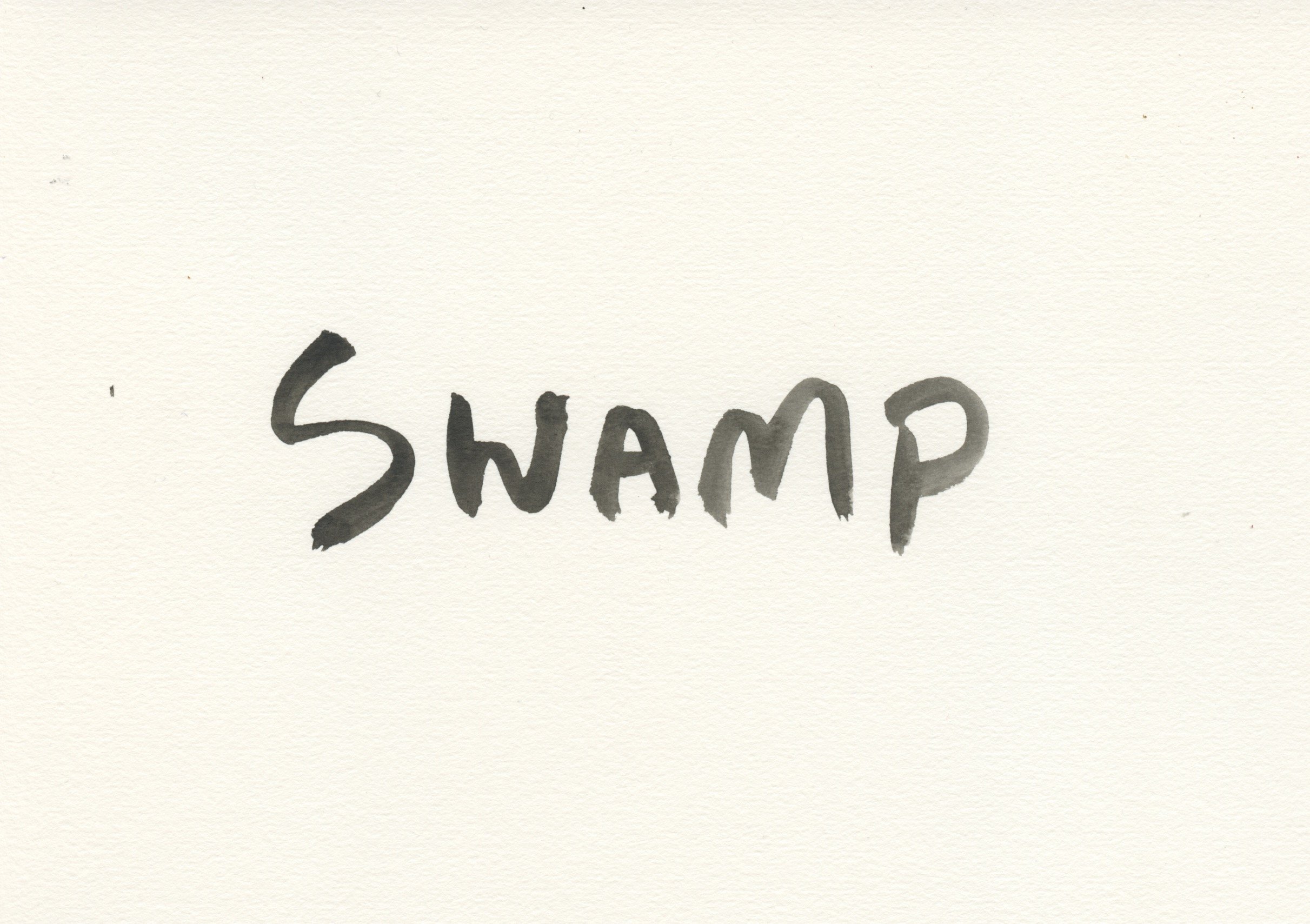 Swamp.jpeg