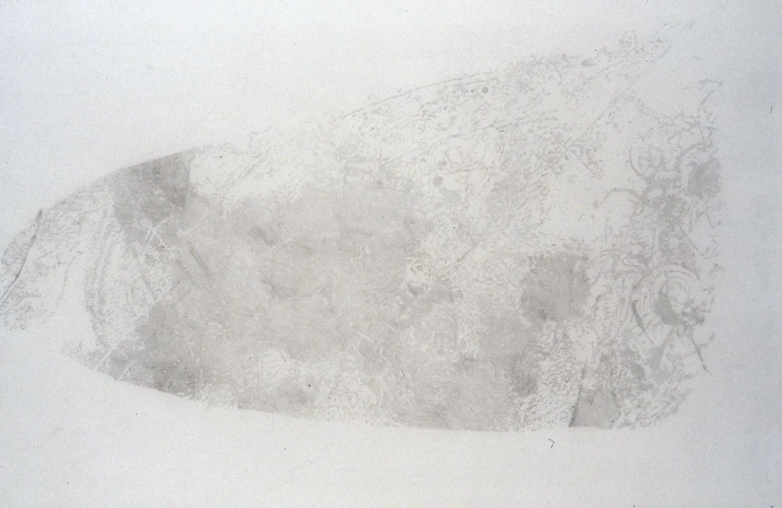Gaze detail 2. detail, 2000. pencil on tracing paper.jpg