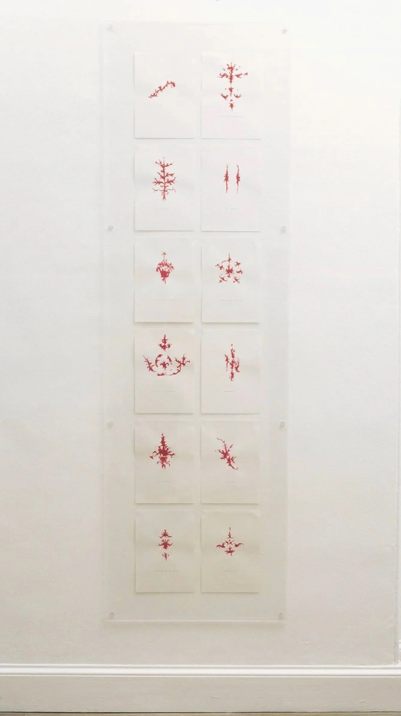 Samples Installation with perspex