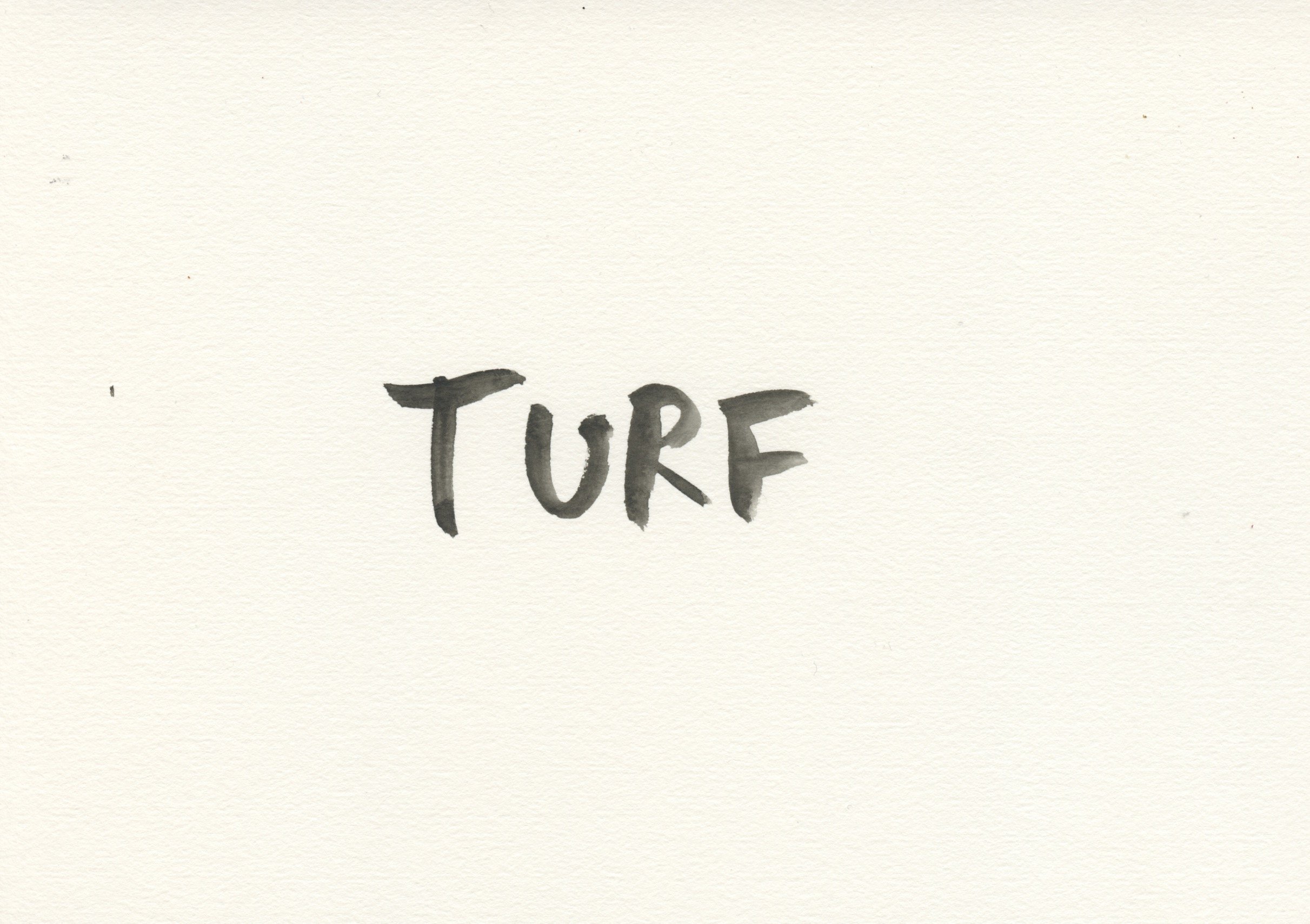 Turf.jpeg