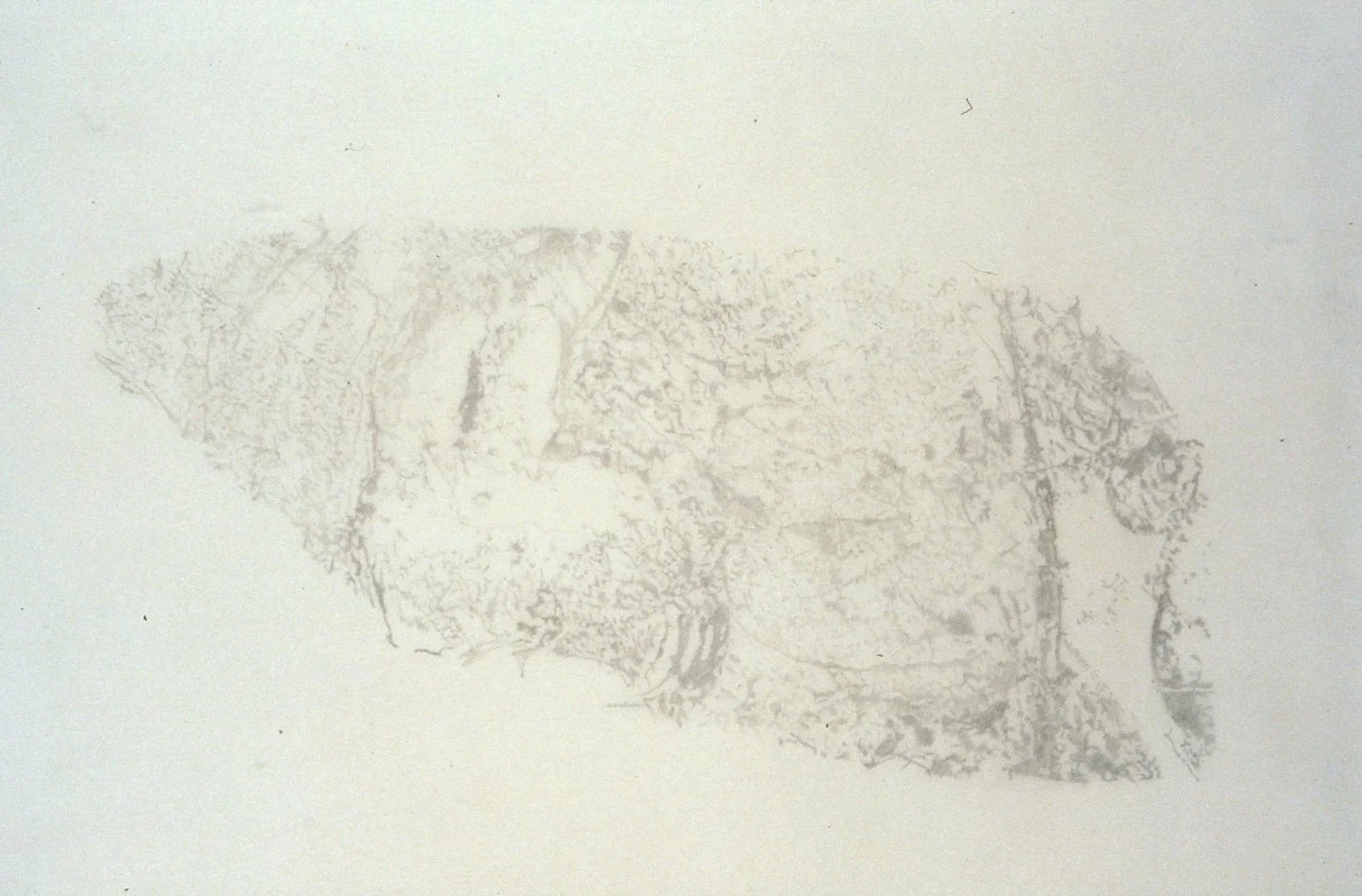 Gaze 2000