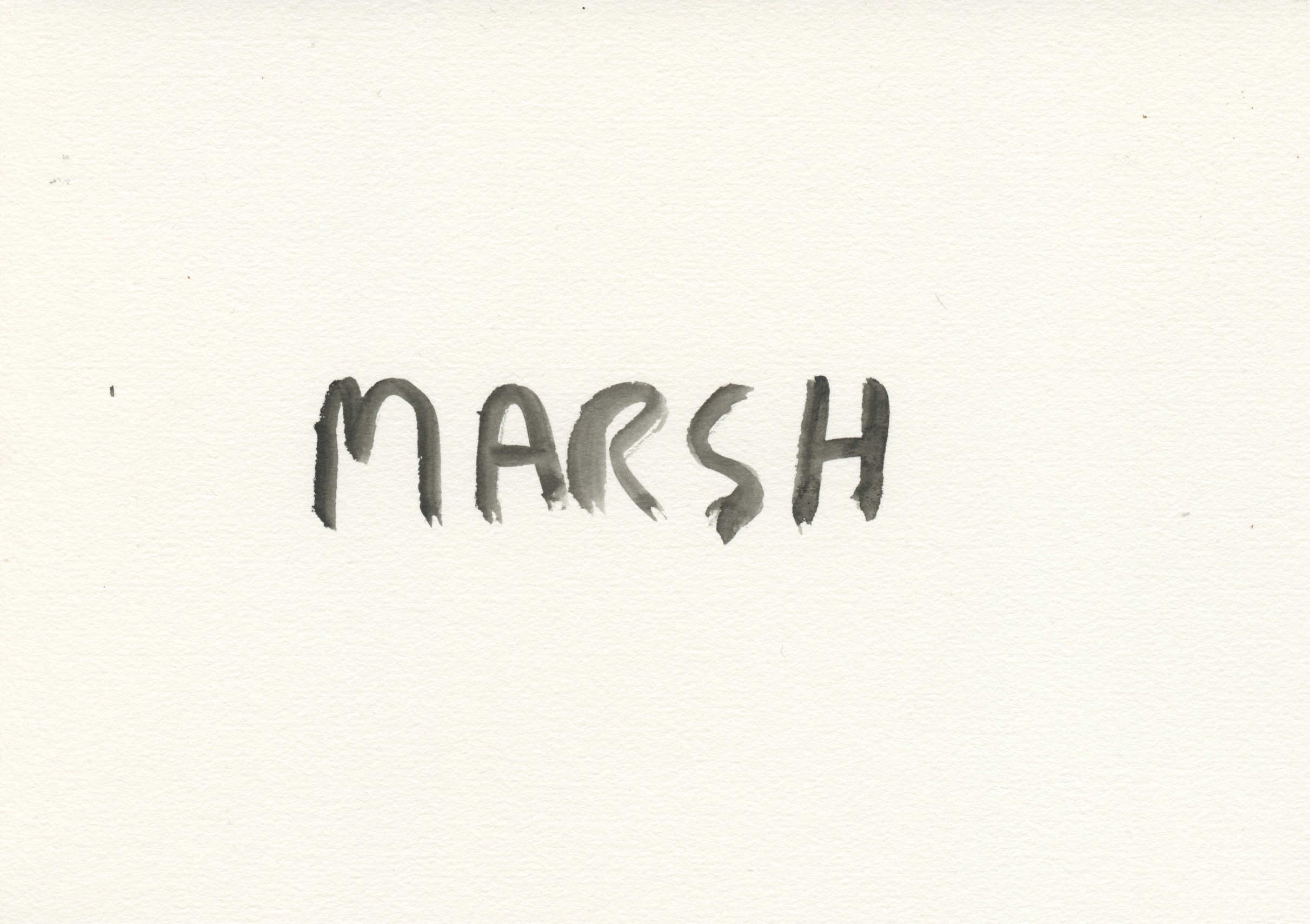 Marsh.jpeg